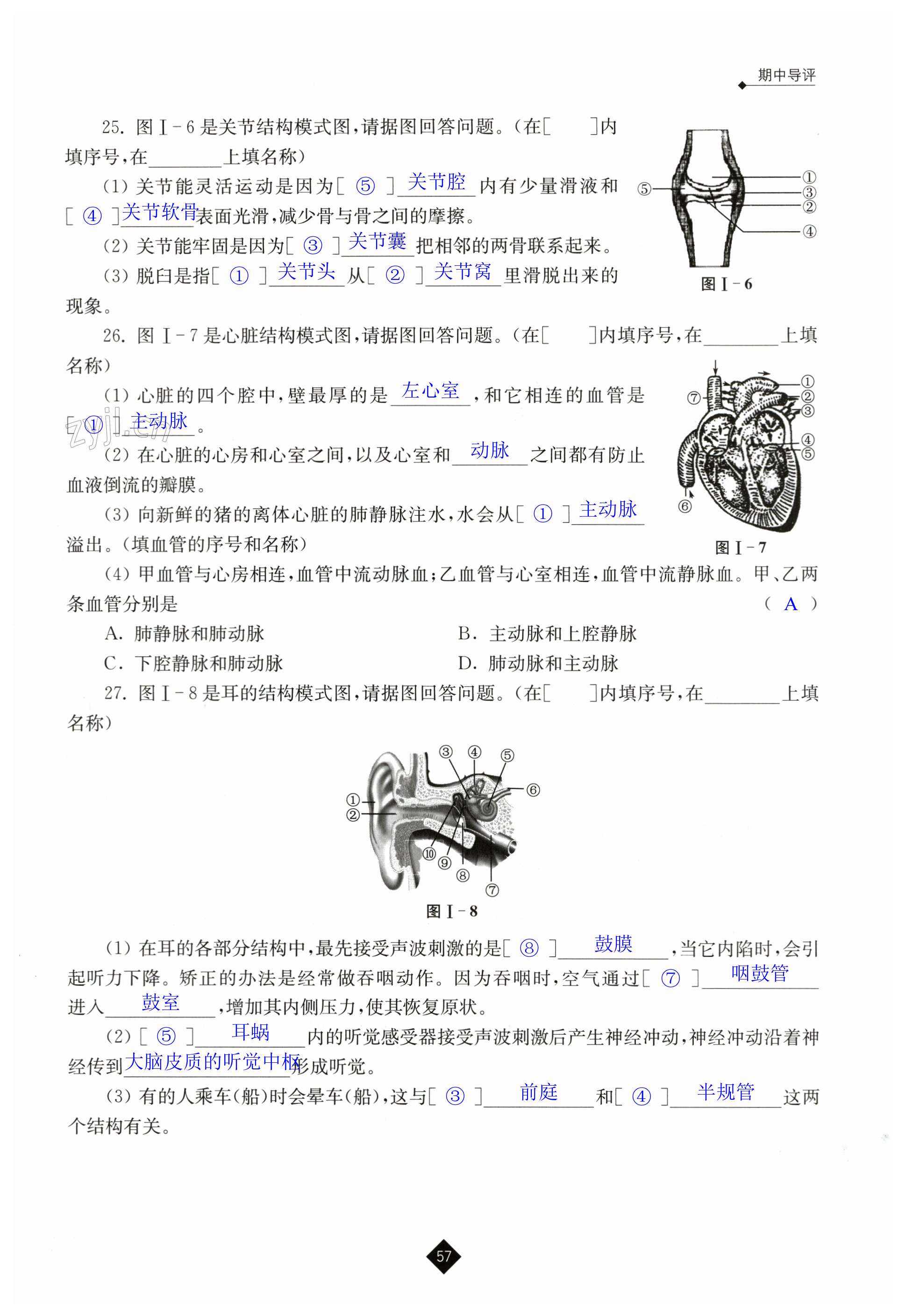 第57頁