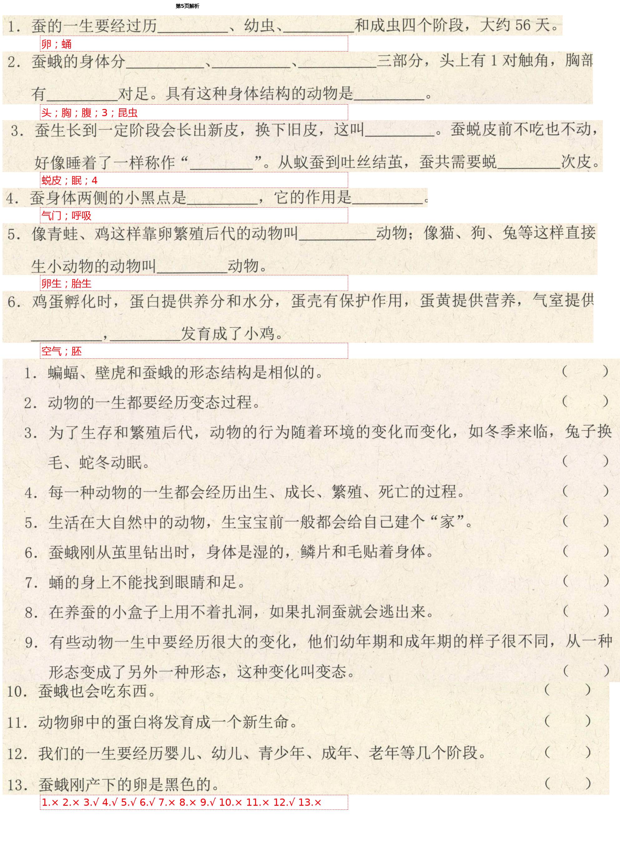 2021年学而晋三年级科学下册教科版&nbsp;第5页