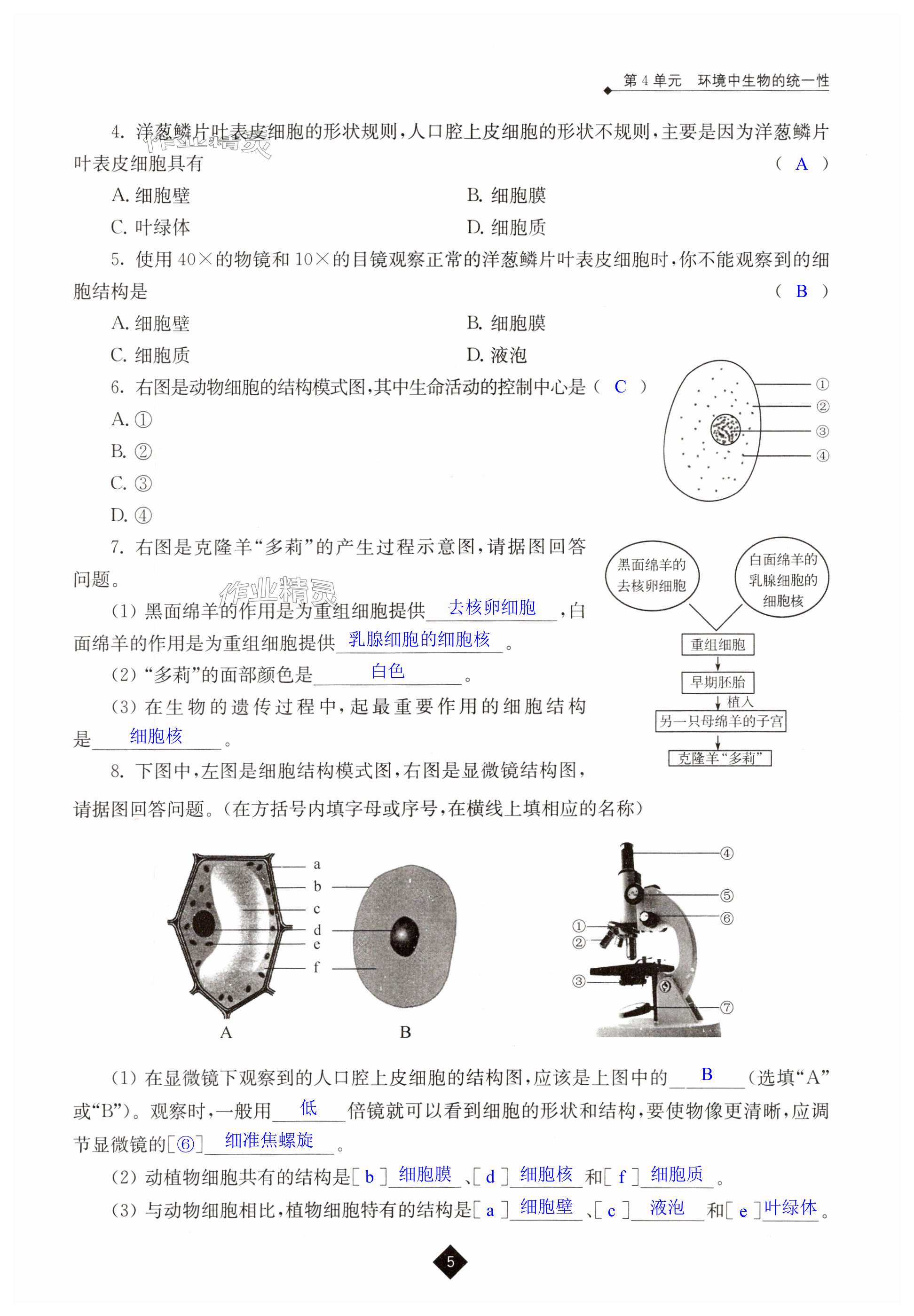 第5頁(yè)