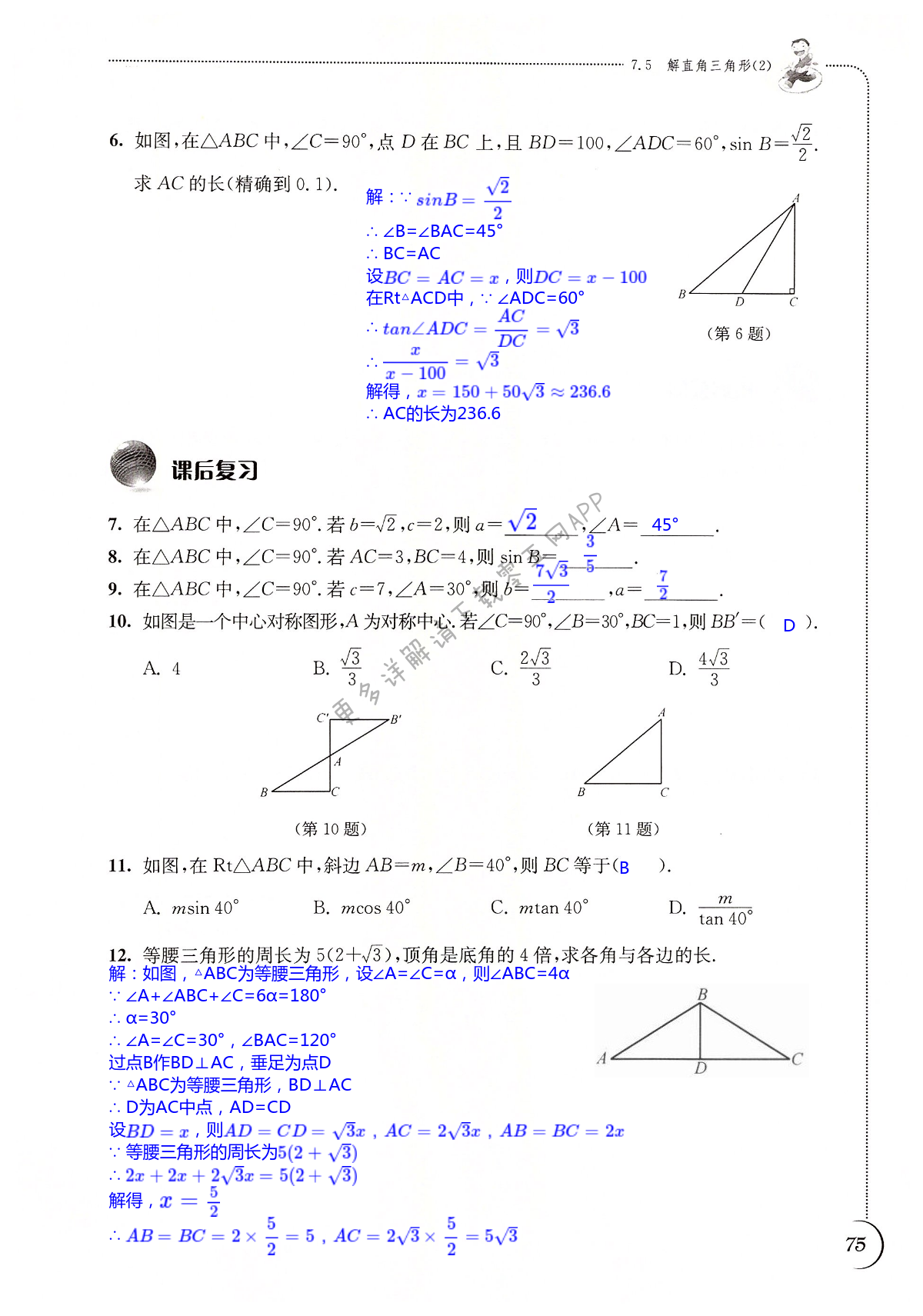 第75頁