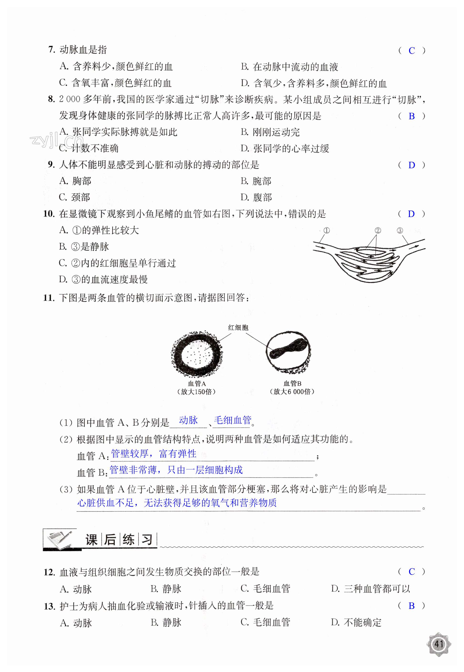 第41页