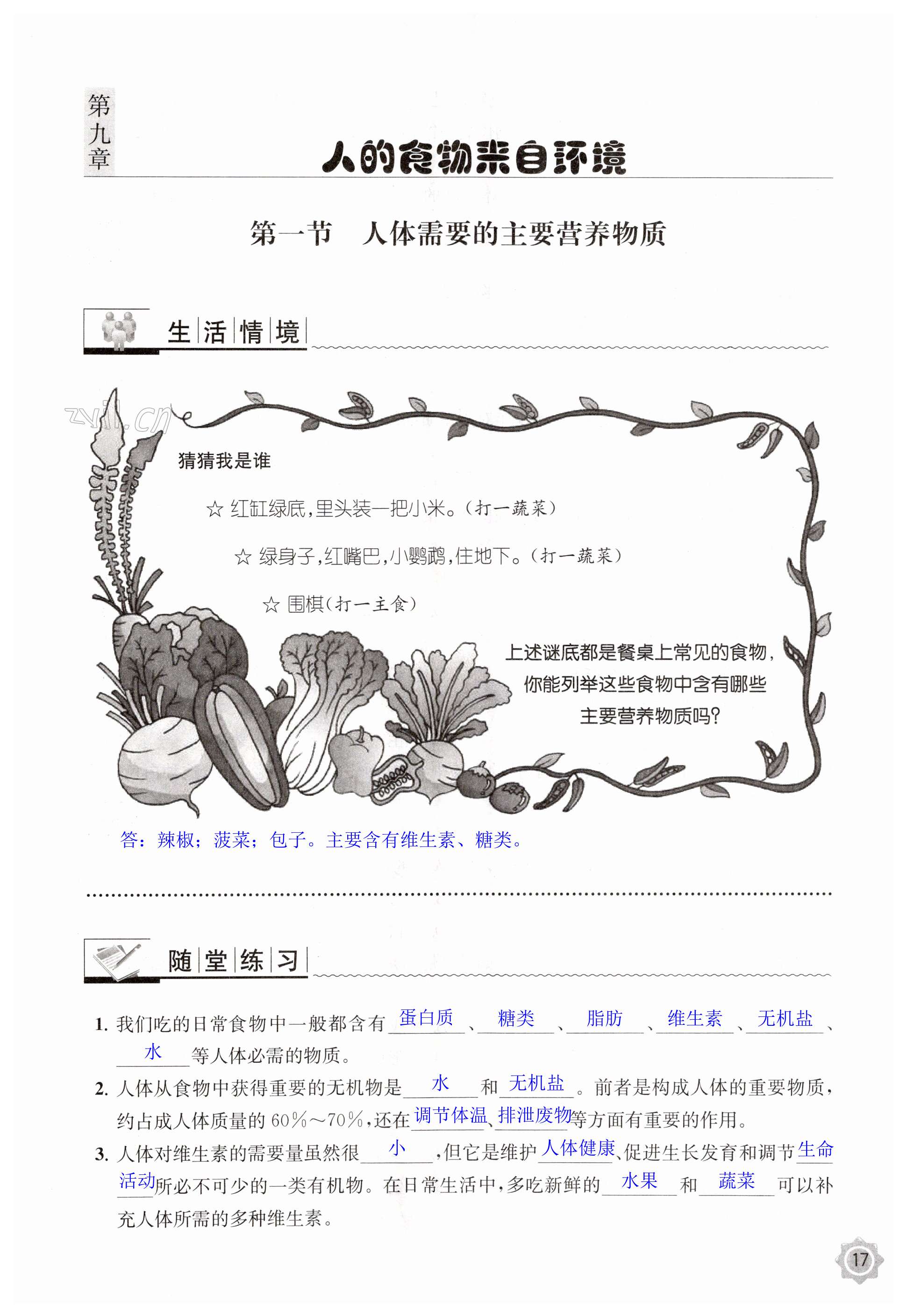 第17页