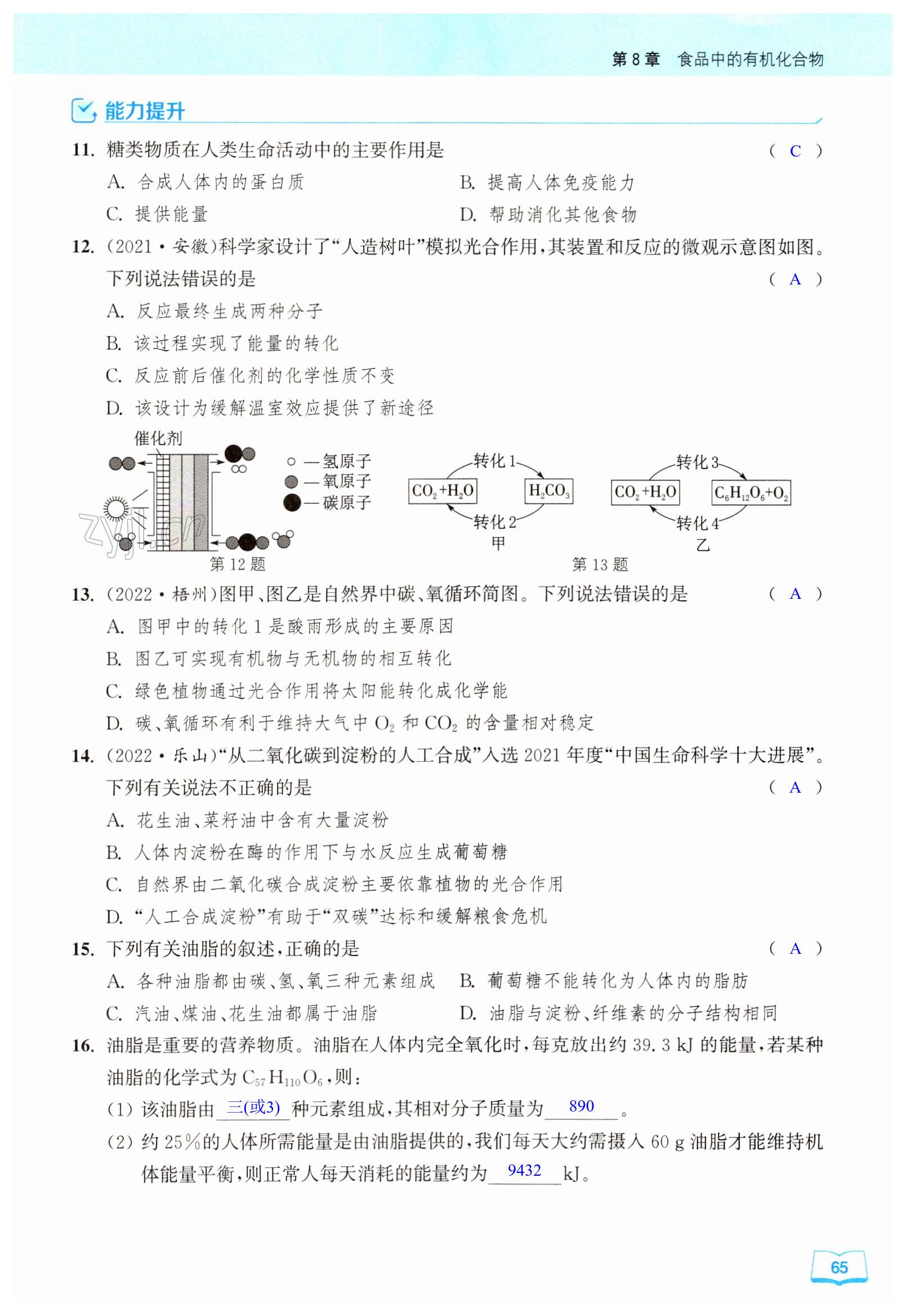 第65頁(yè)