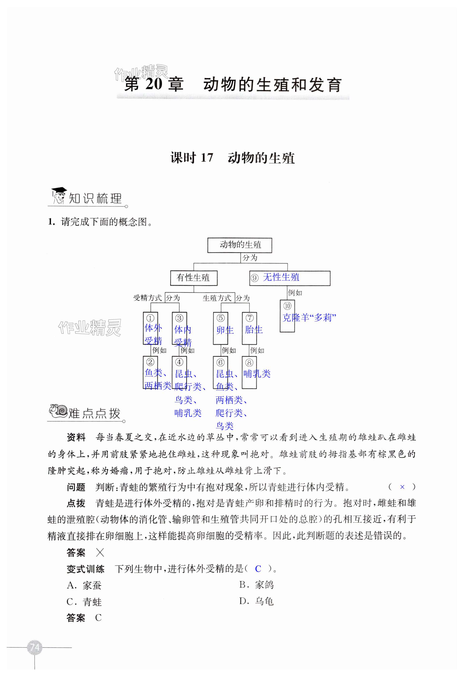 第74頁