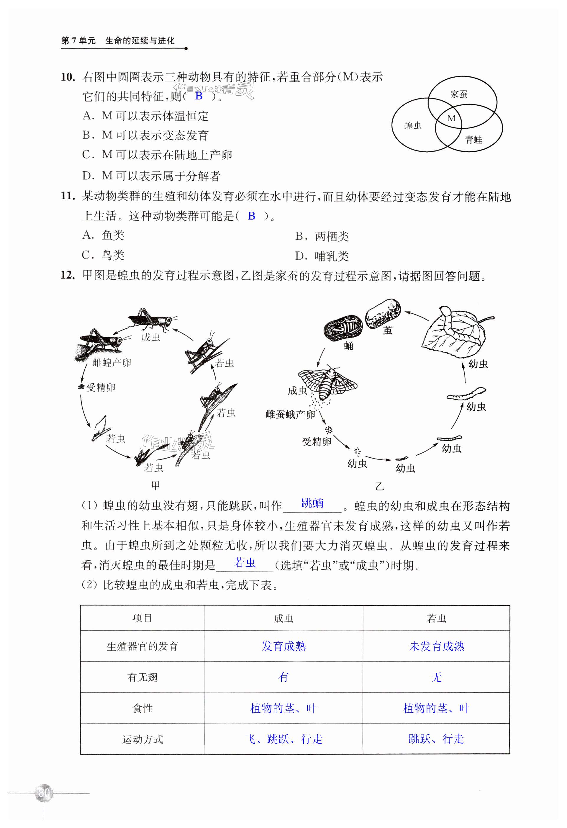 第80頁