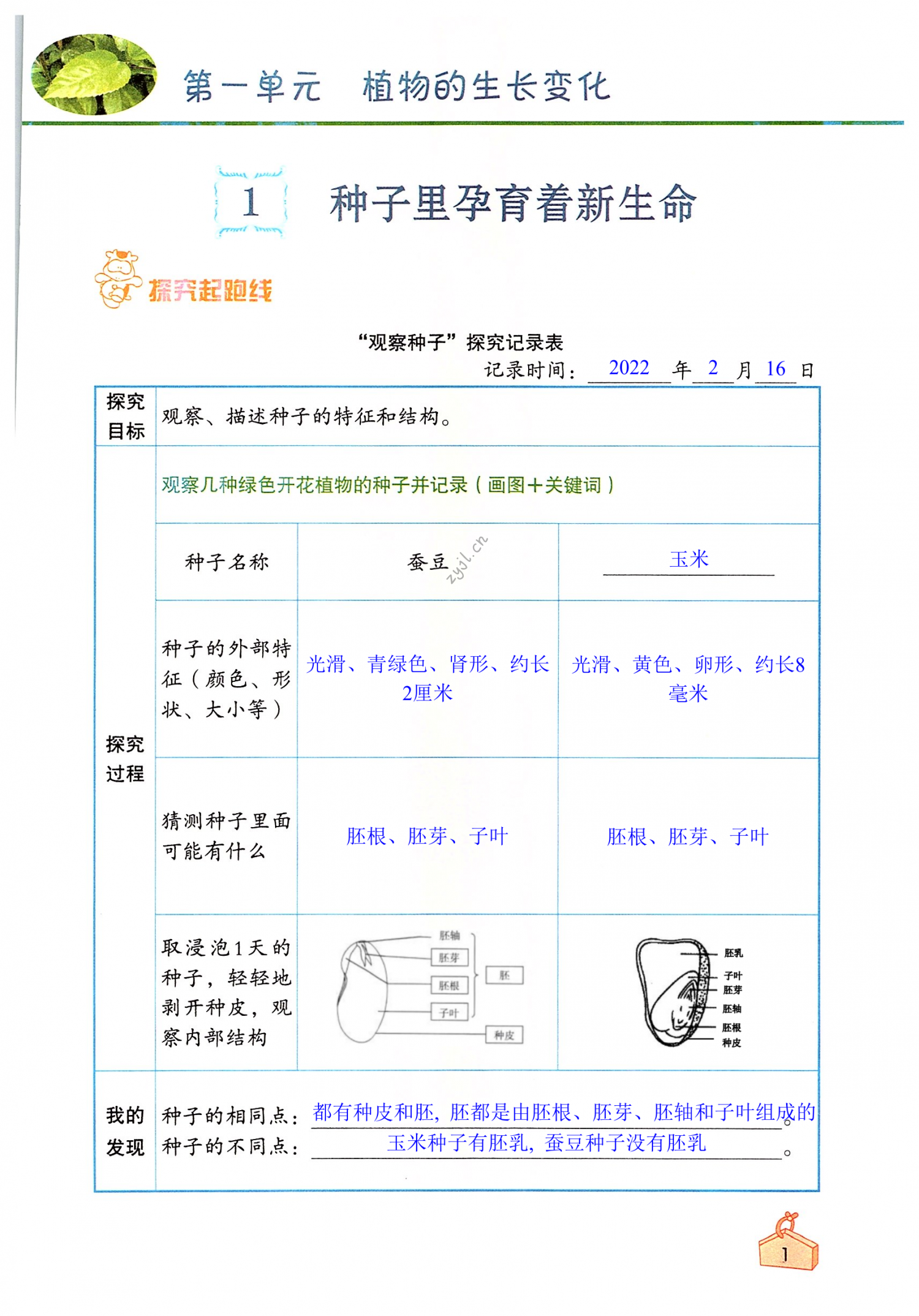 2022年知识与能力训练四年级科学下册教科版 第1页