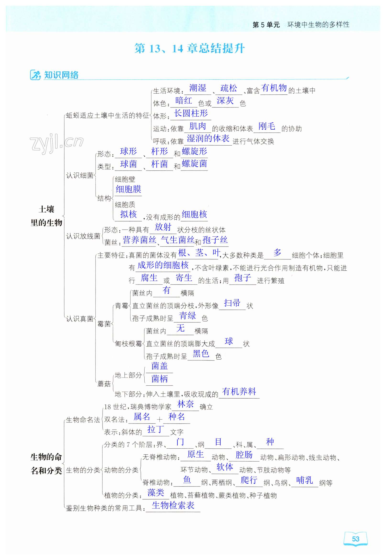 第53頁