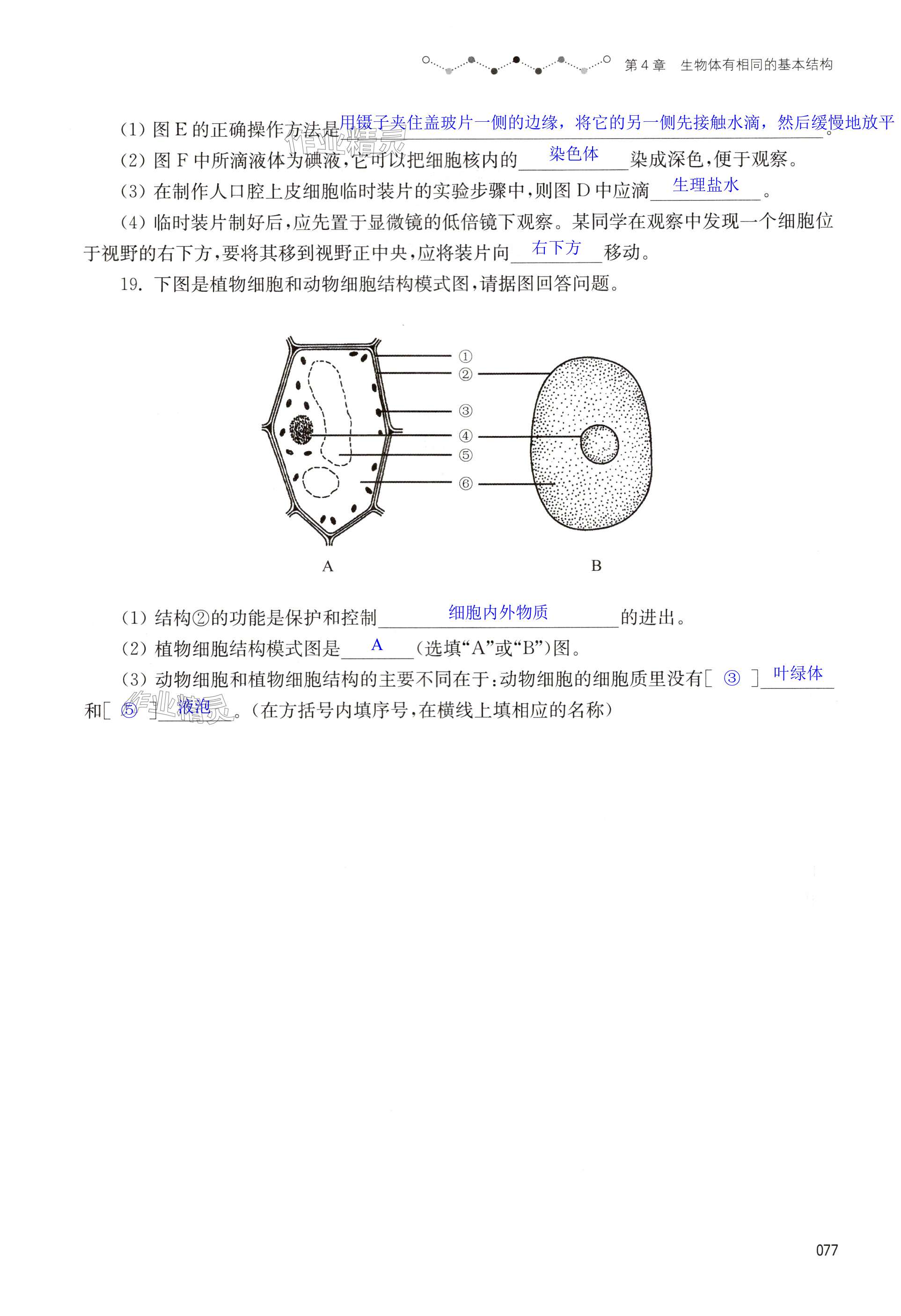 第77頁