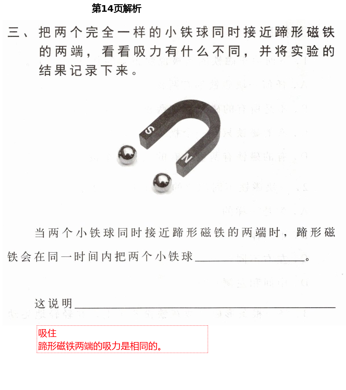 2021年新思維伴你學(xué)二年級科學(xué)下冊教科版 第14頁