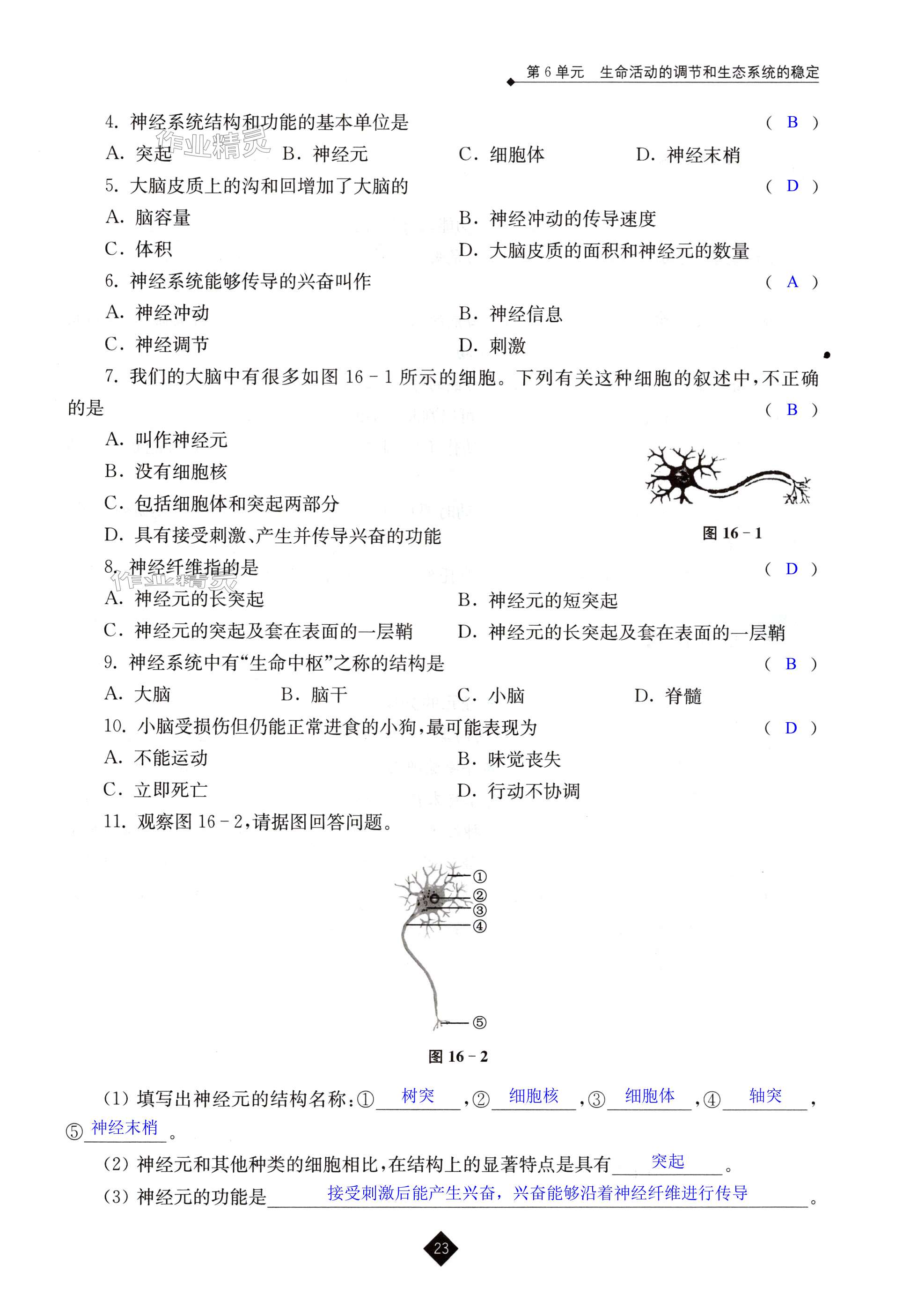 第23頁