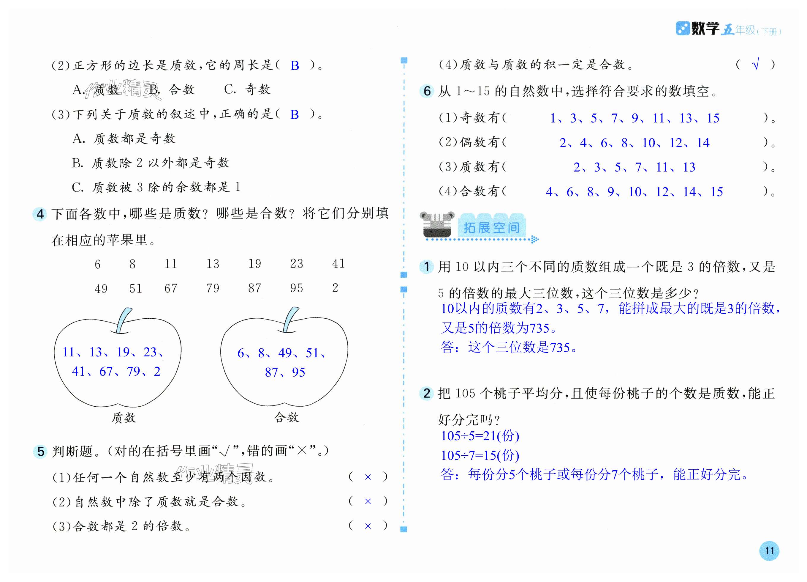 第11页