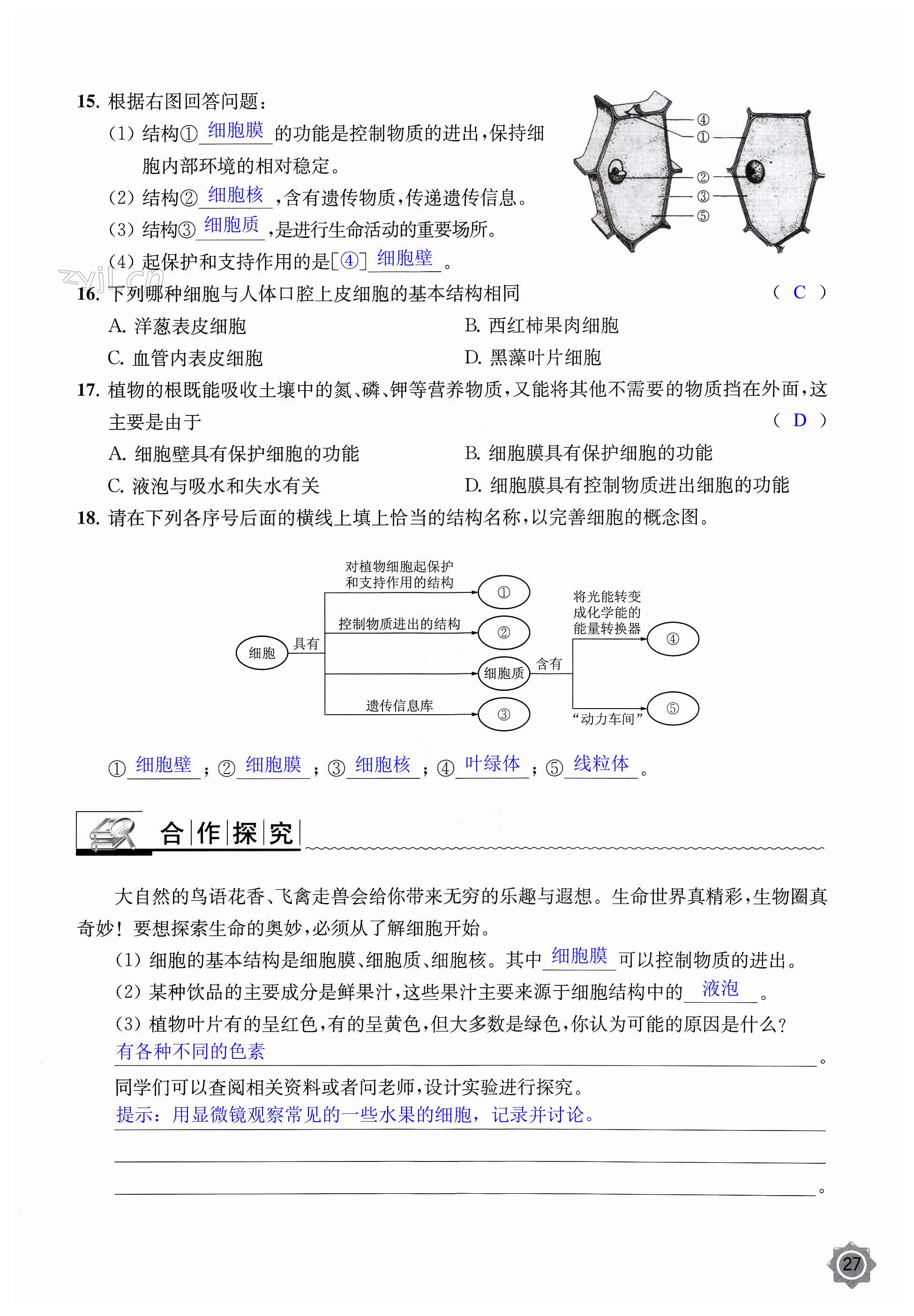 第27頁