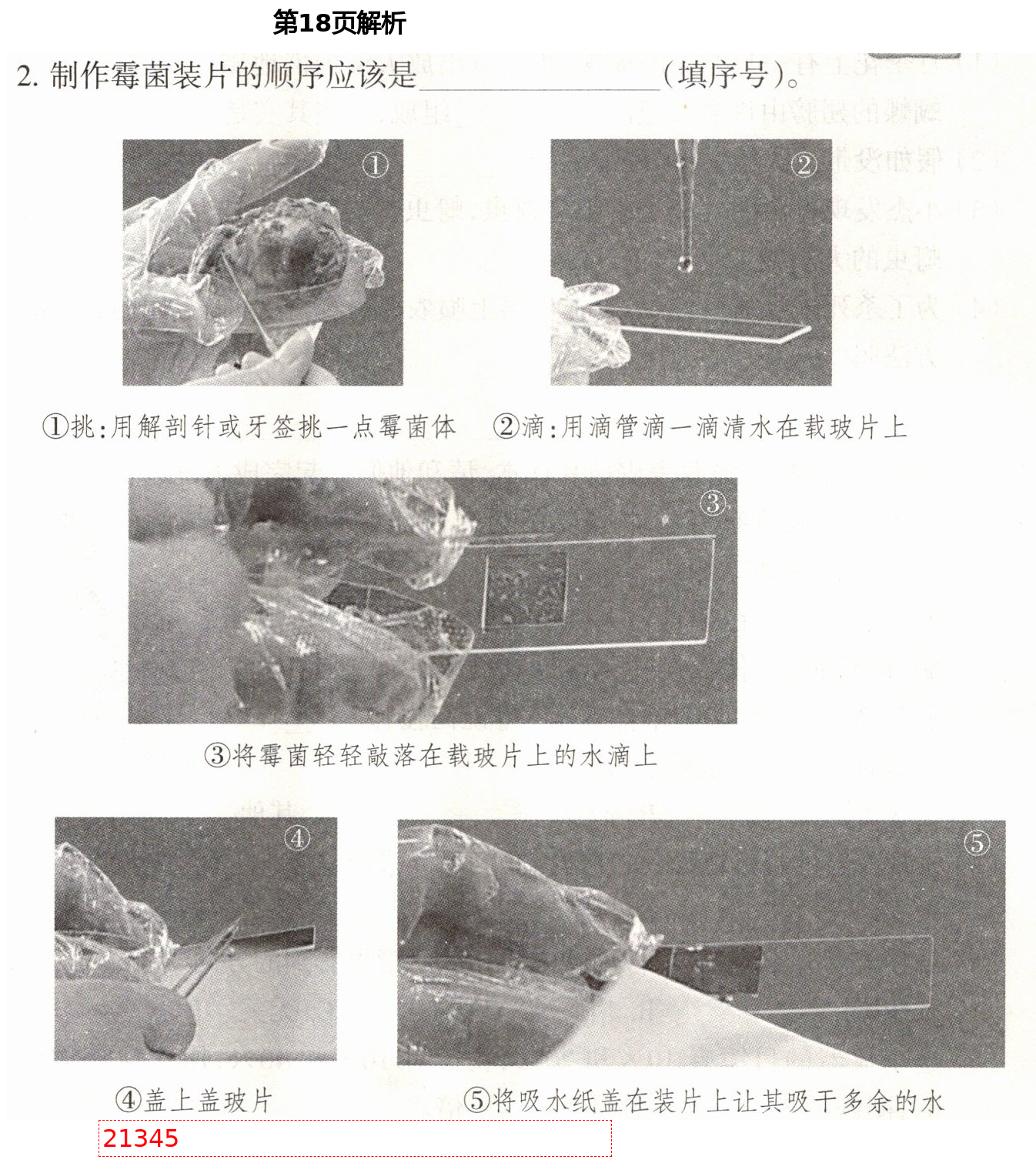 2021年導(dǎo)學(xué)新作業(yè)六年級(jí)科學(xué)下冊(cè)教科版 第18頁