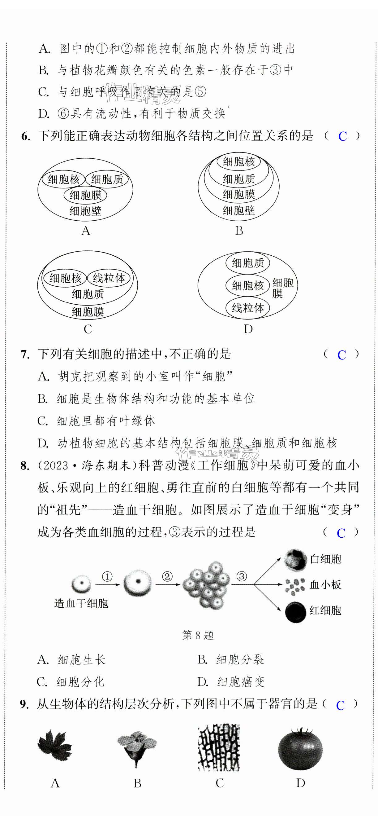 第20頁