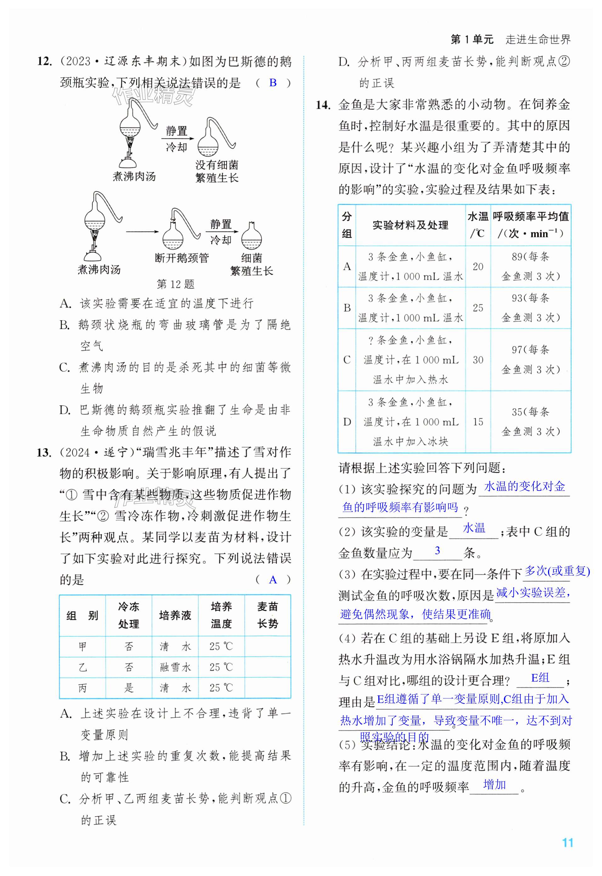 第11頁