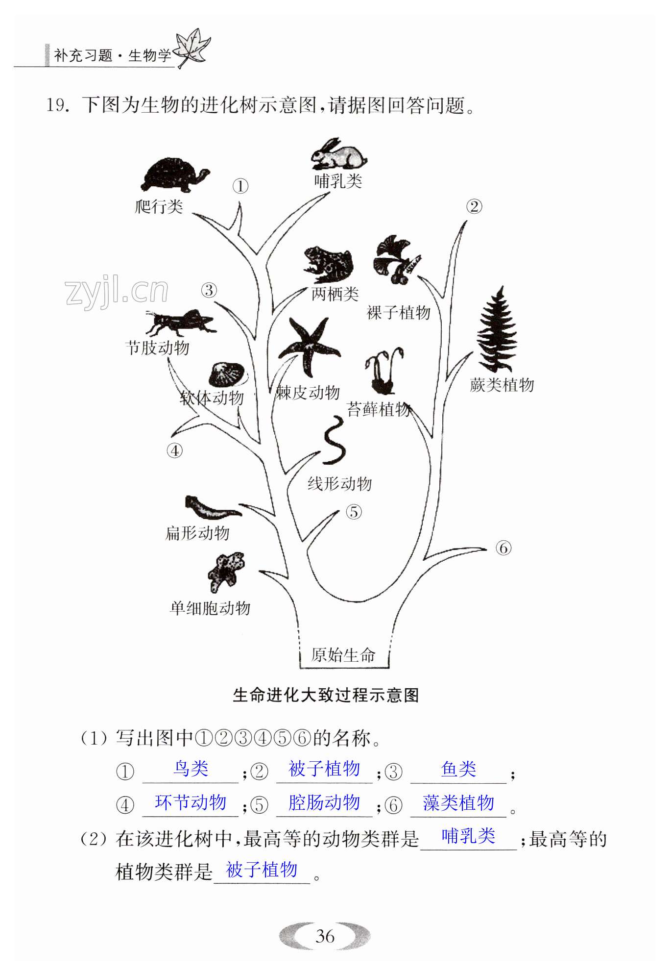 第36頁