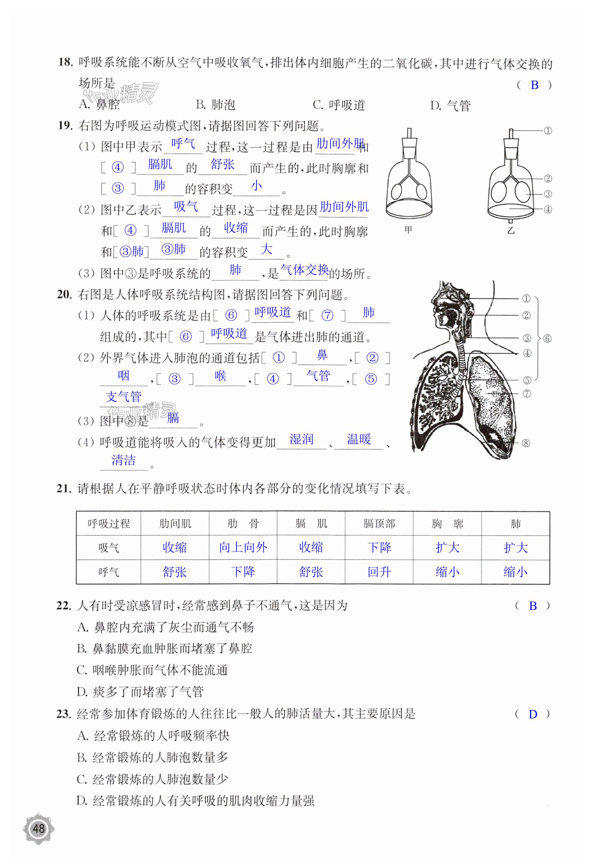 第48頁(yè)