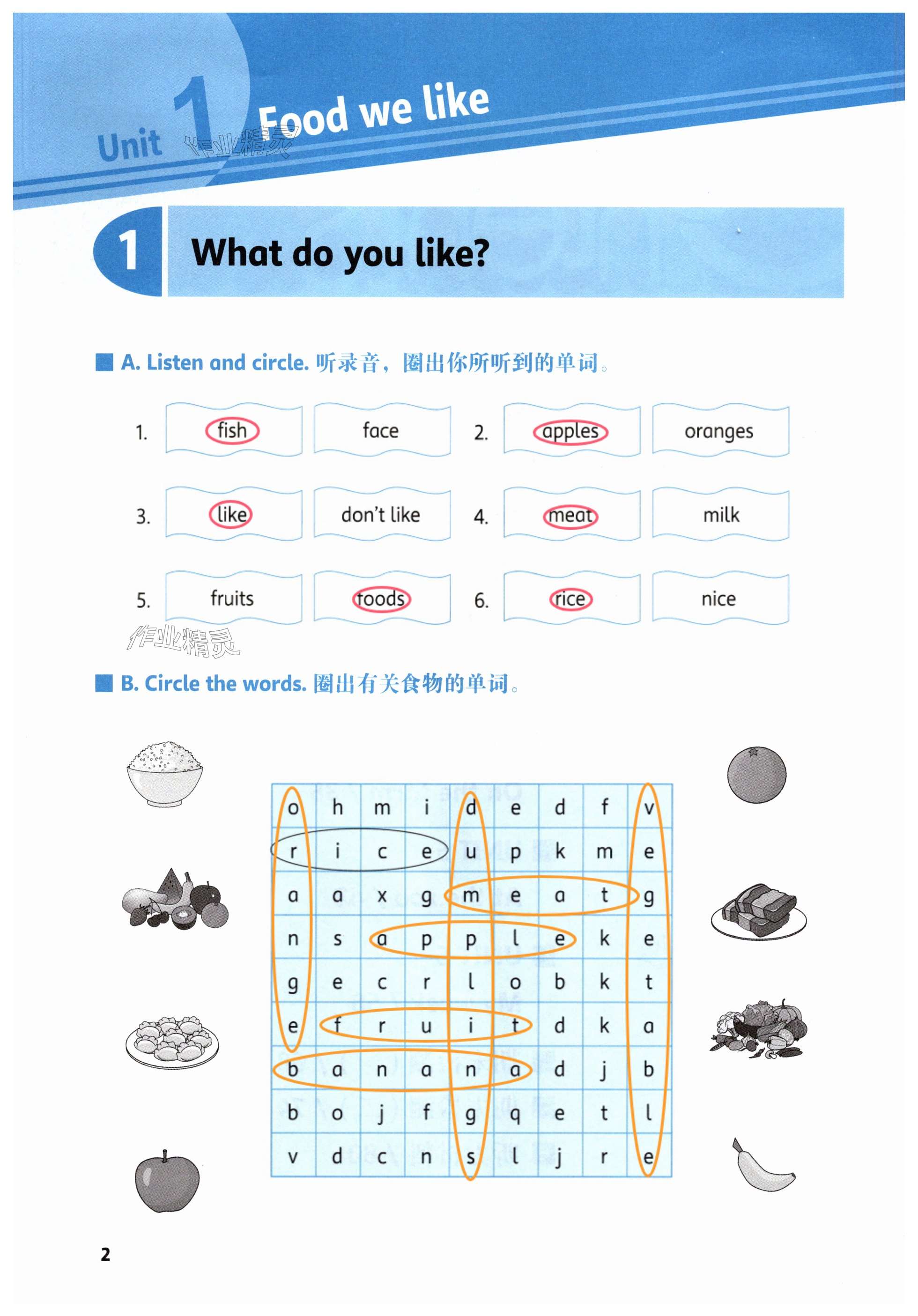 2025年同步練習(xí)冊河北教育出版社三年級英語下冊冀教版 第2頁