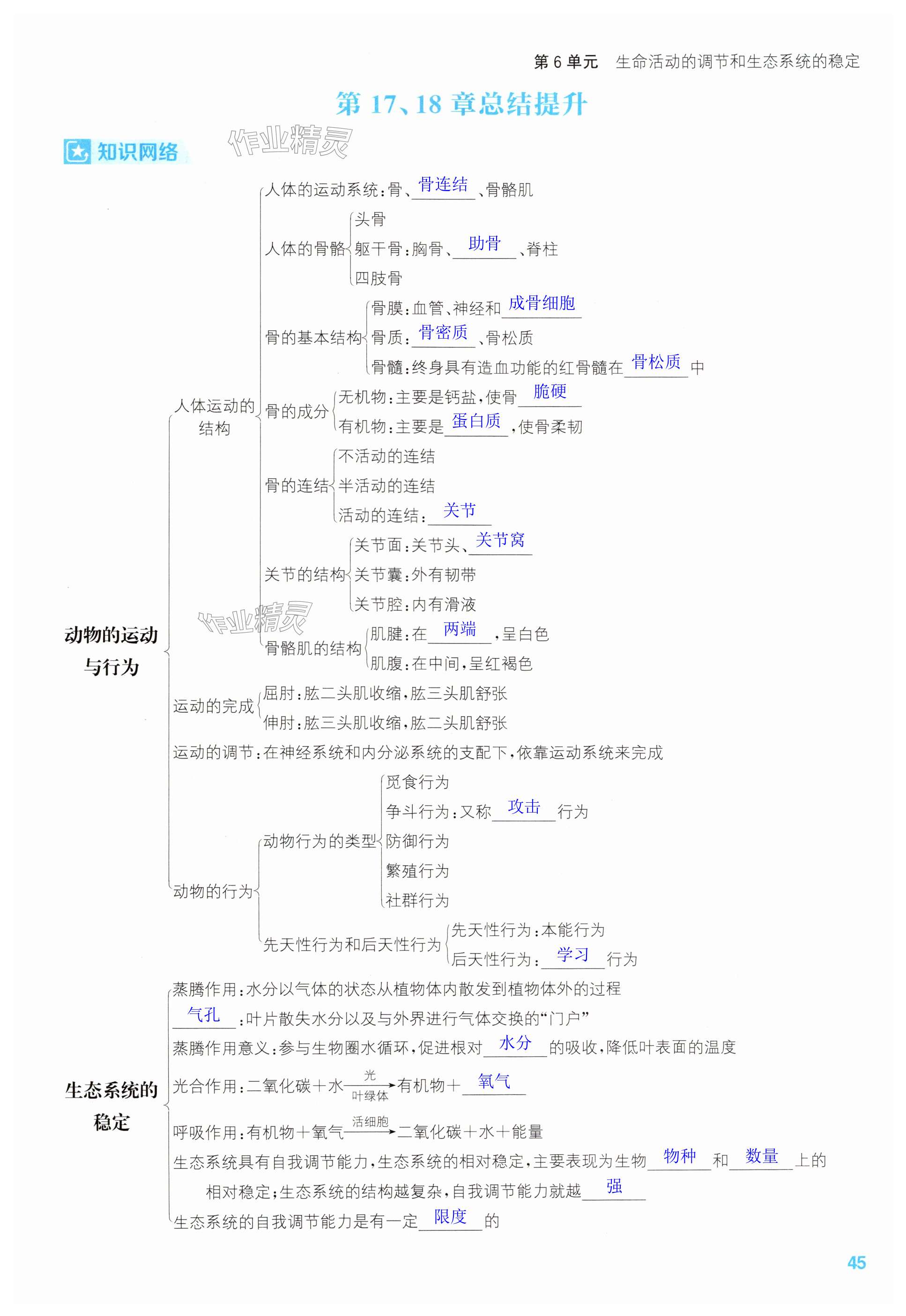 第45頁(yè)