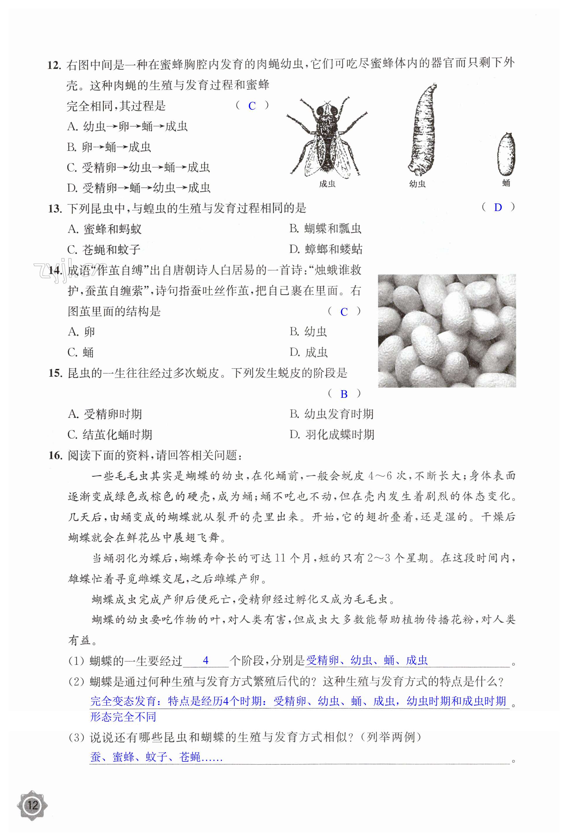 第12頁