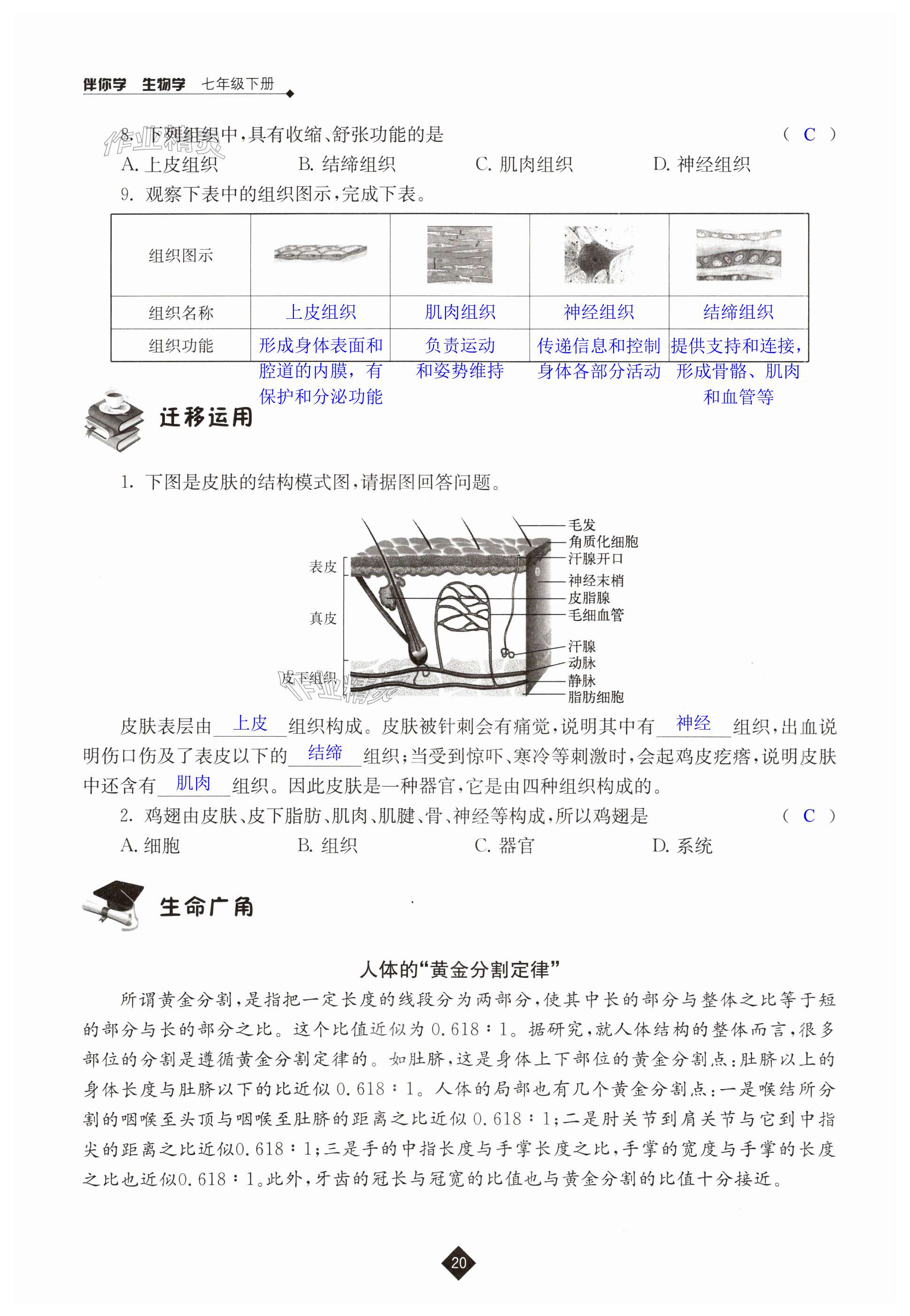 第20頁(yè)