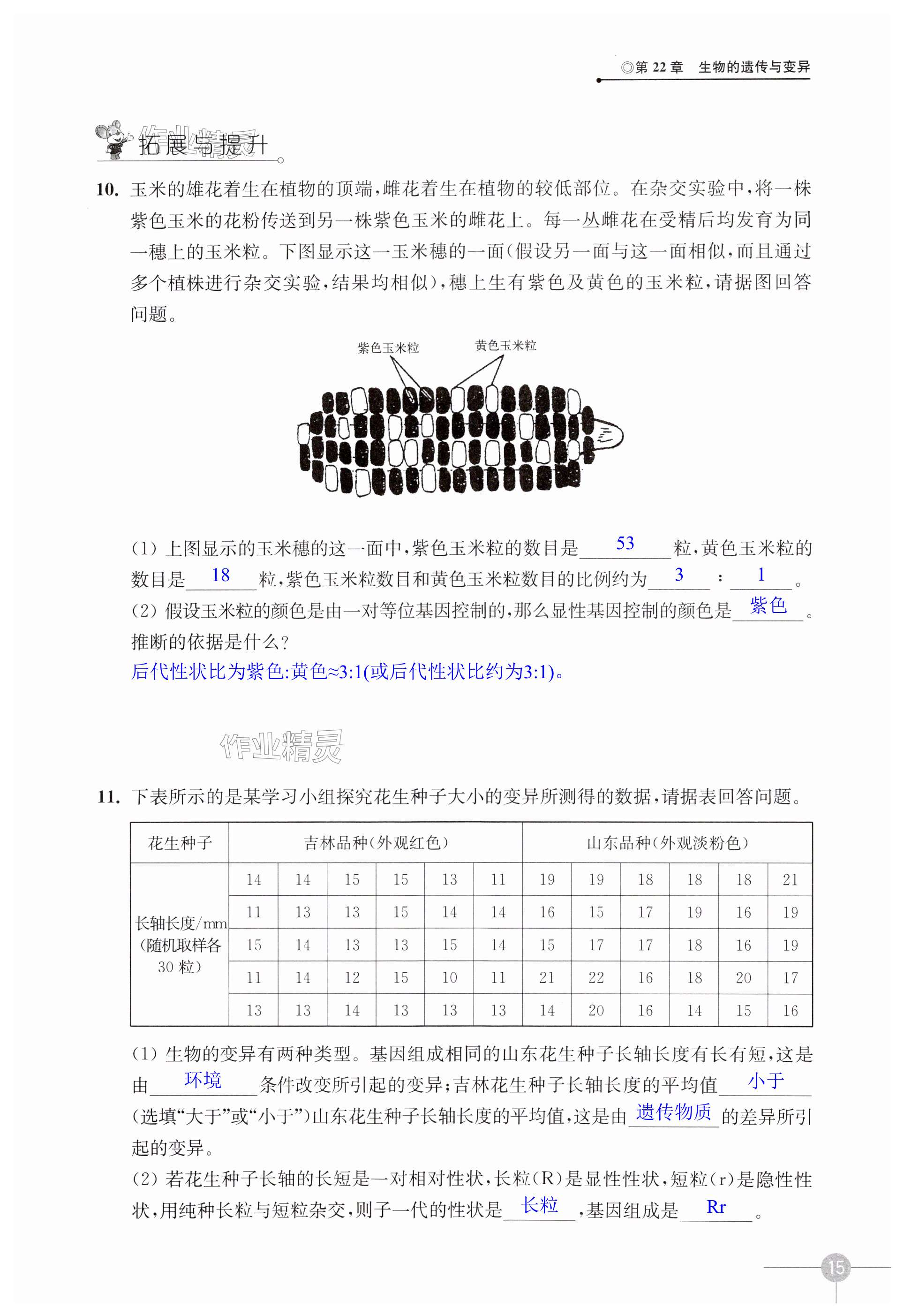 第15頁