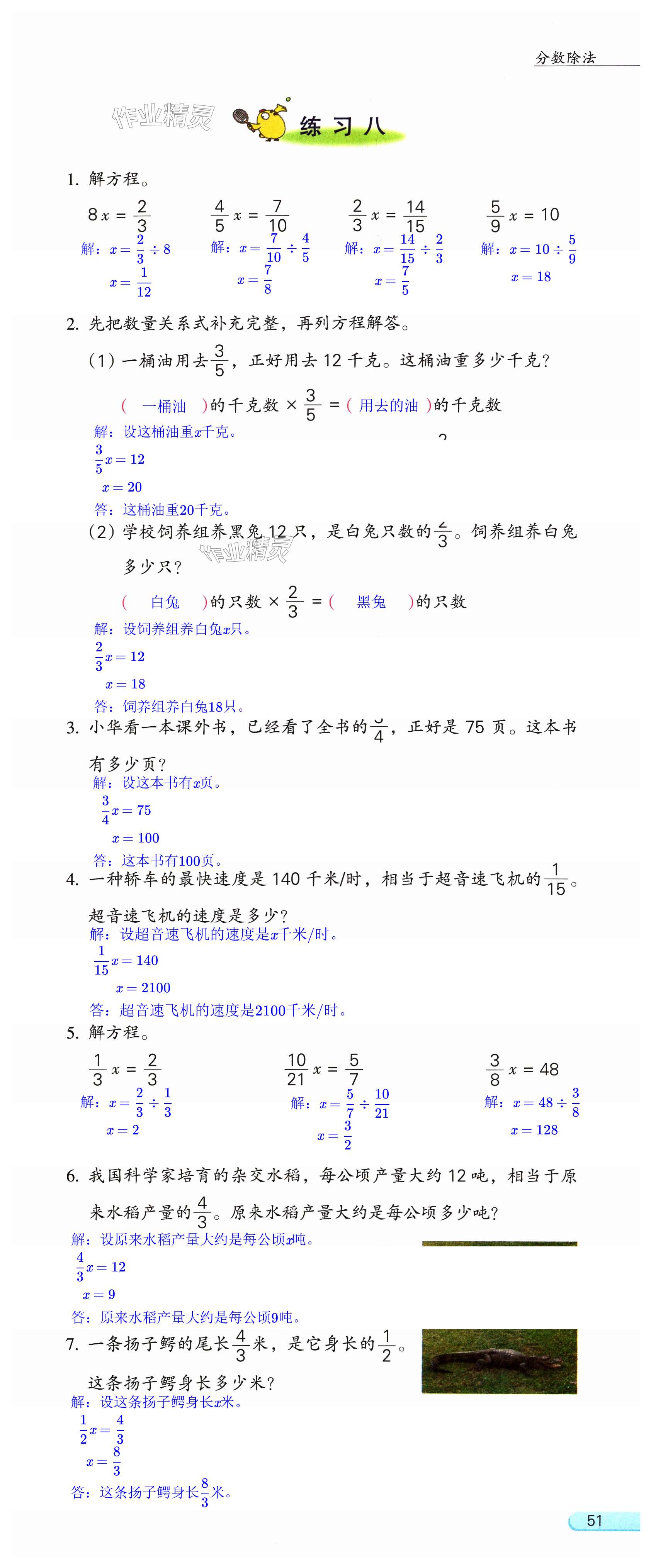 第51頁