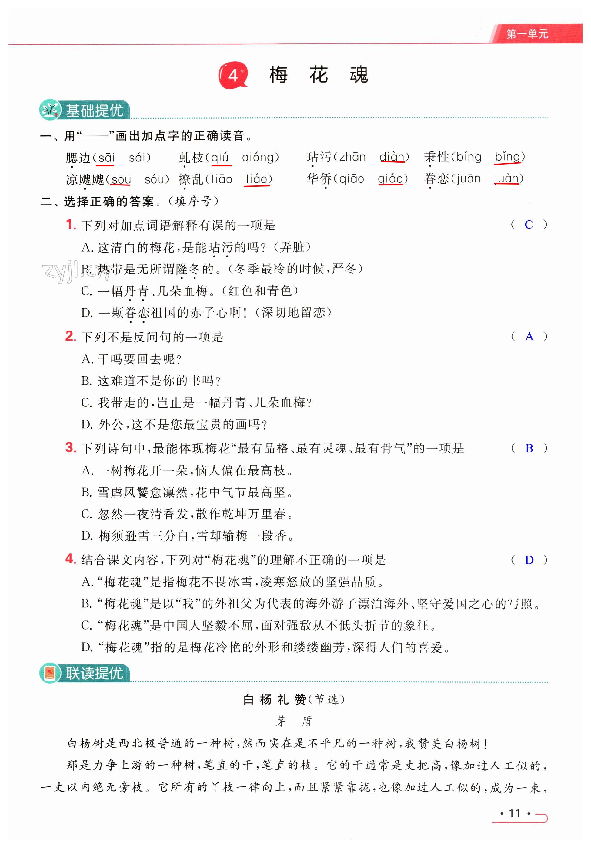 第11页