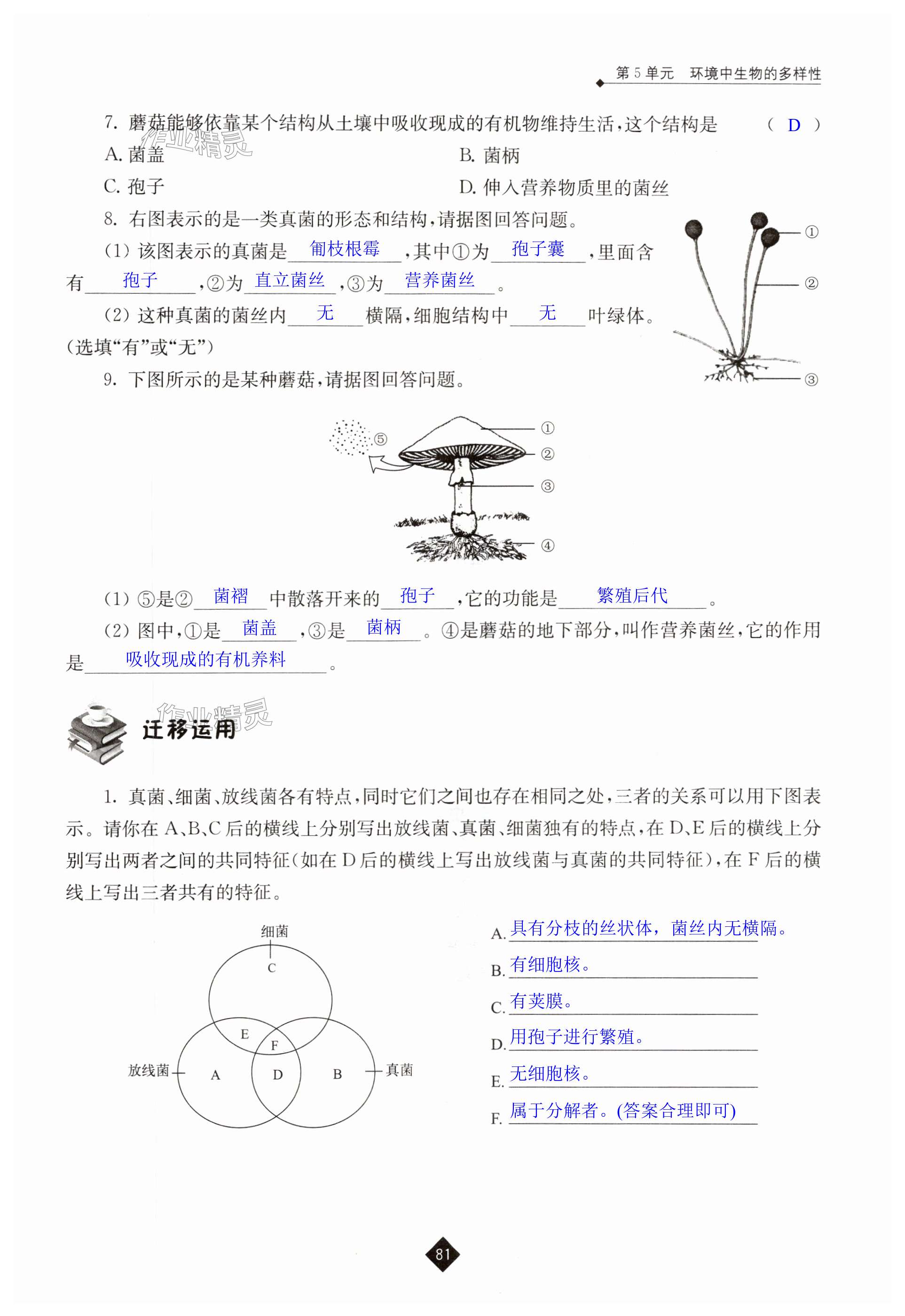 第81頁