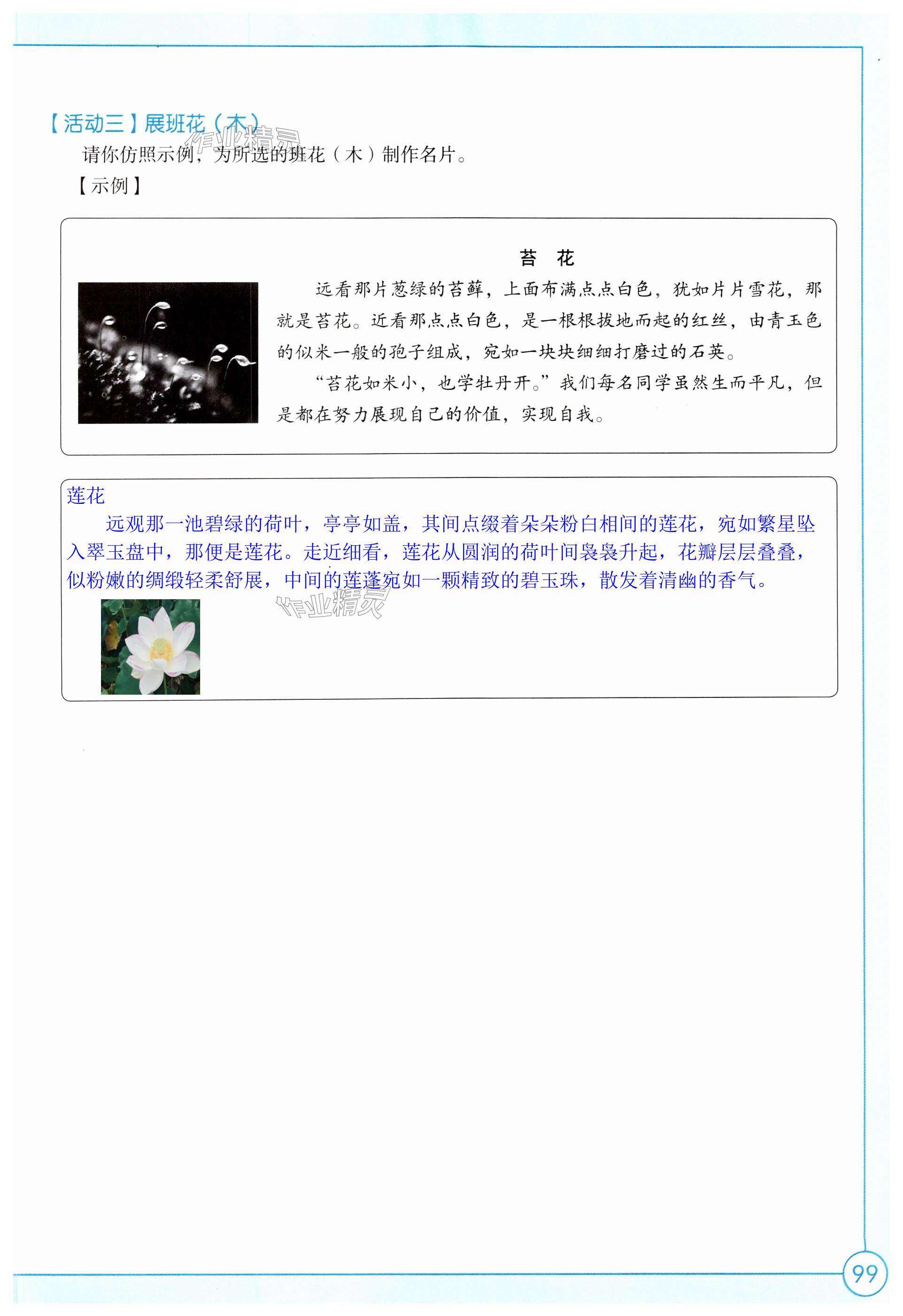 第99页