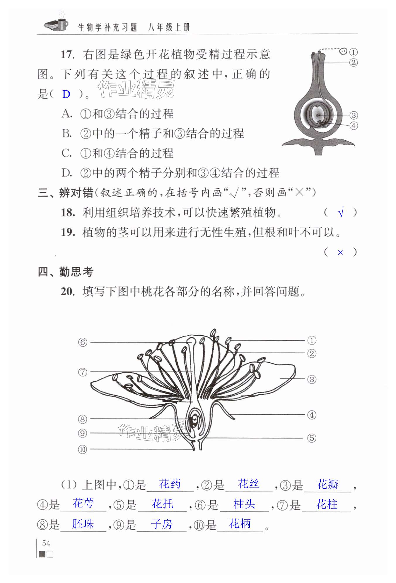 第54頁