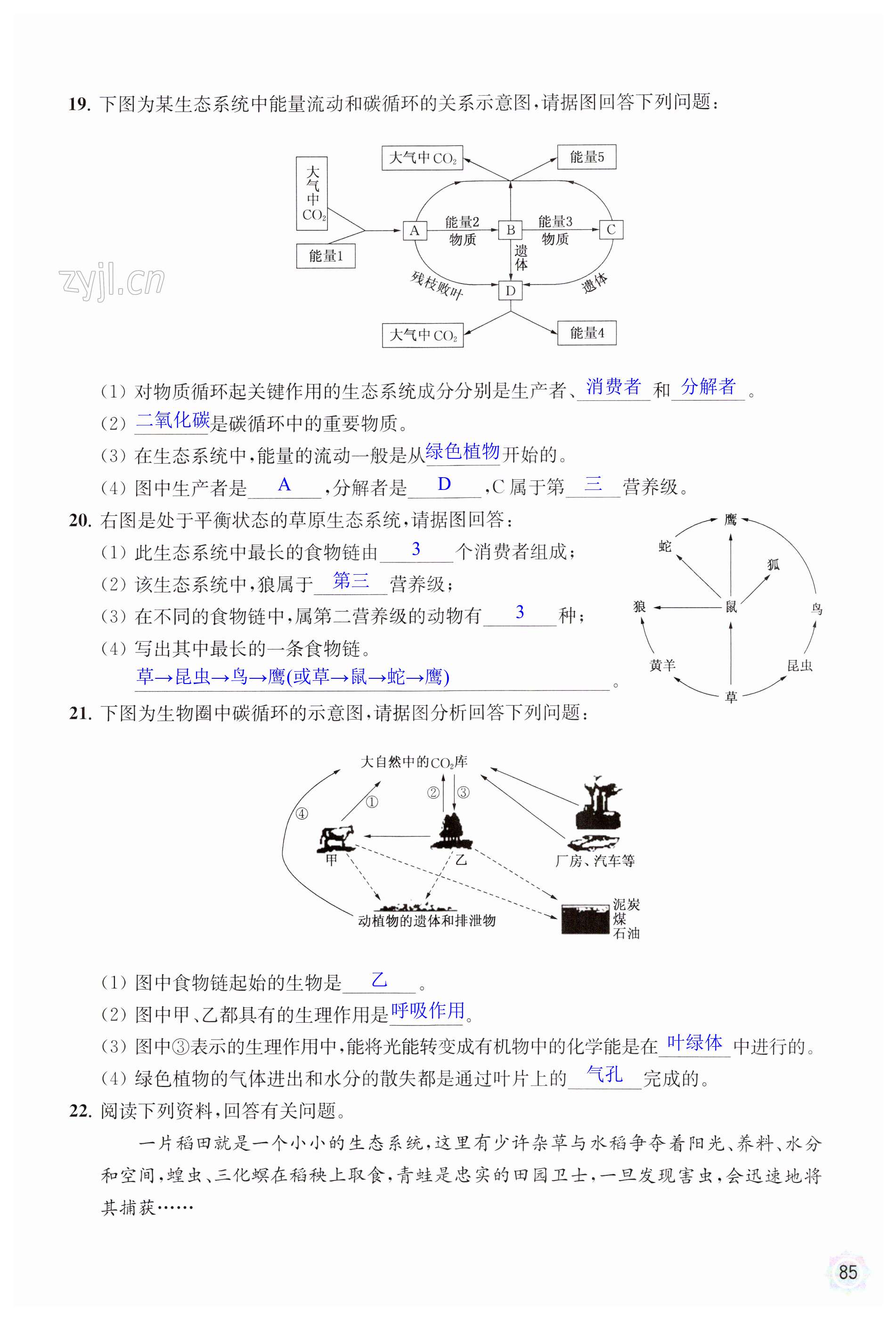第85页