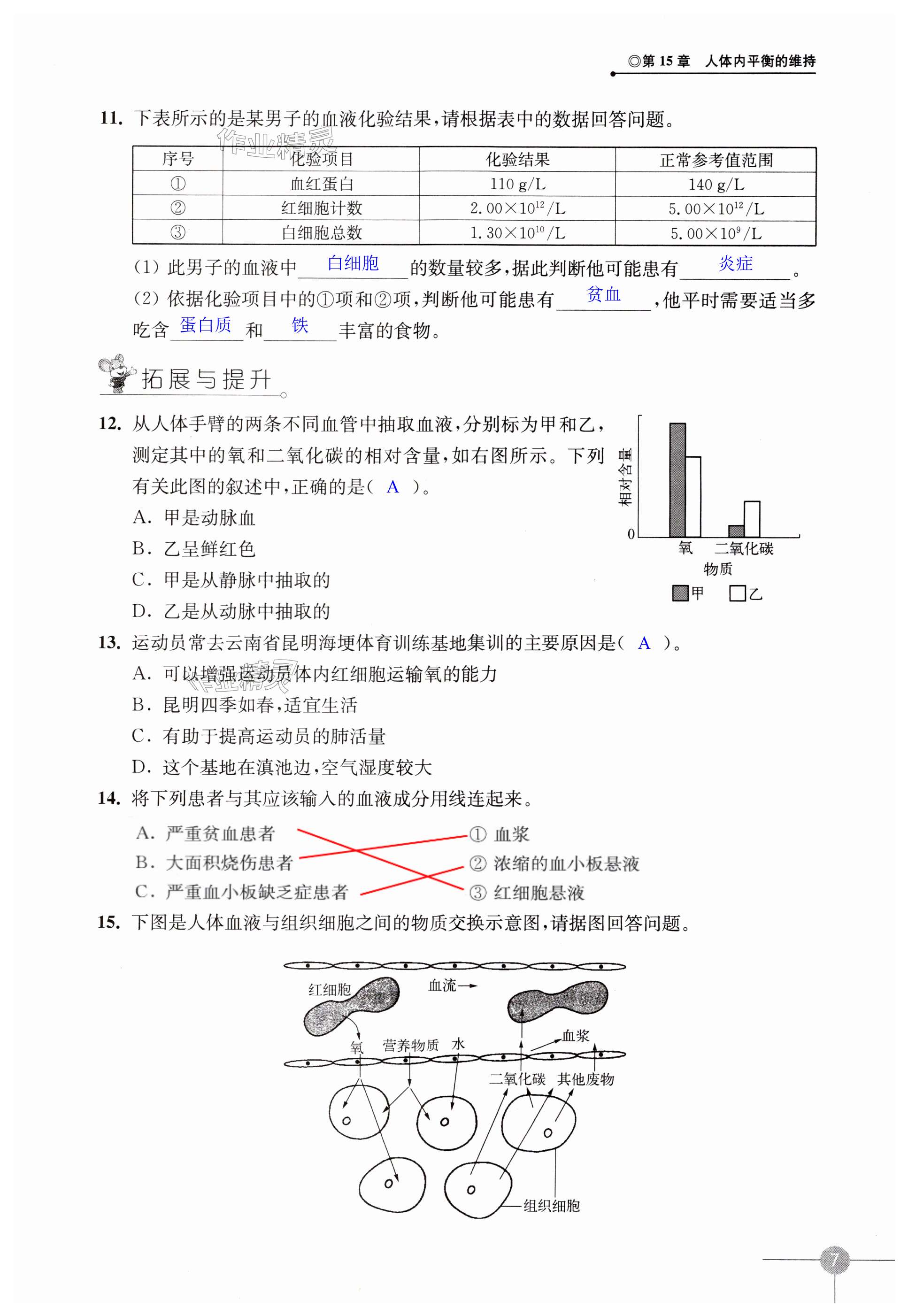 第7頁