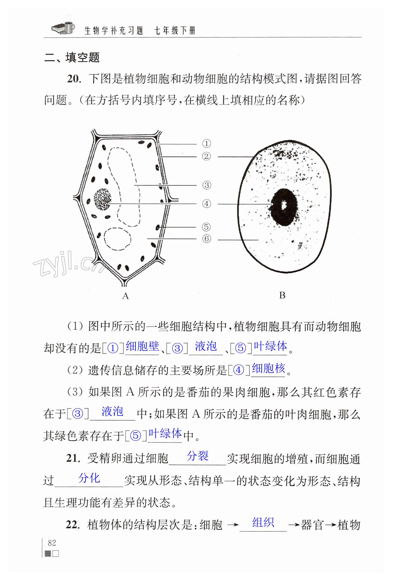 第82页