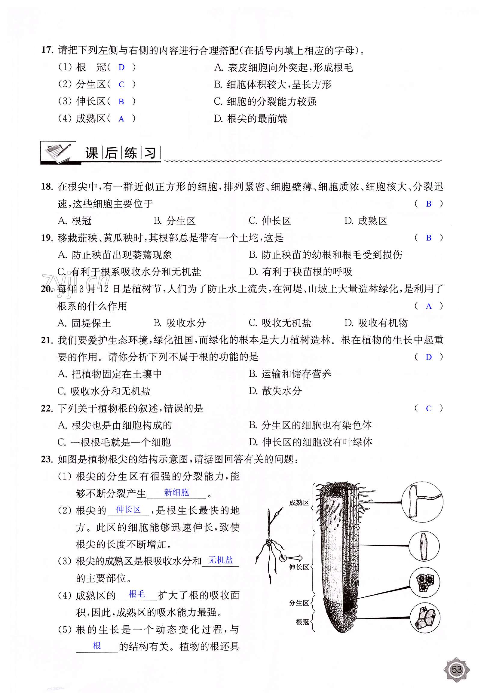 第53页