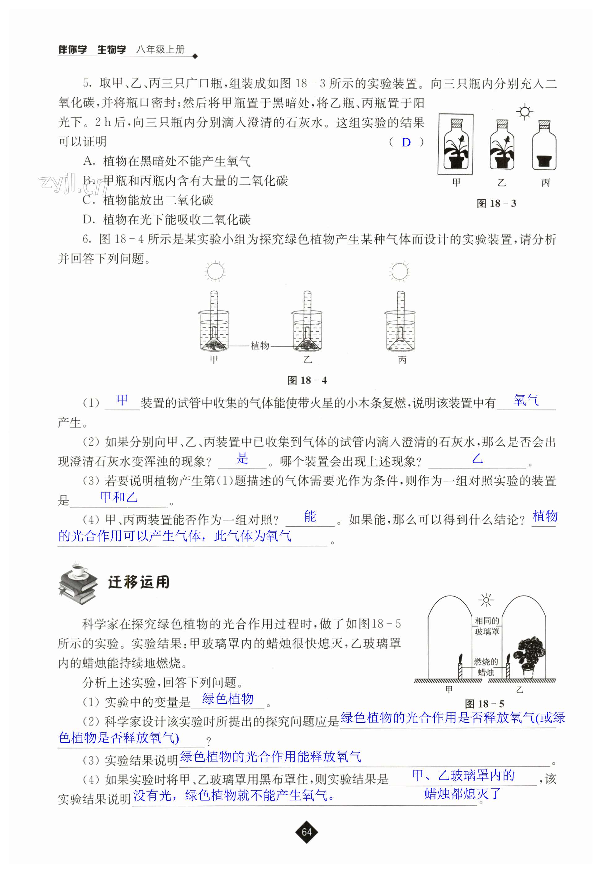 第64頁