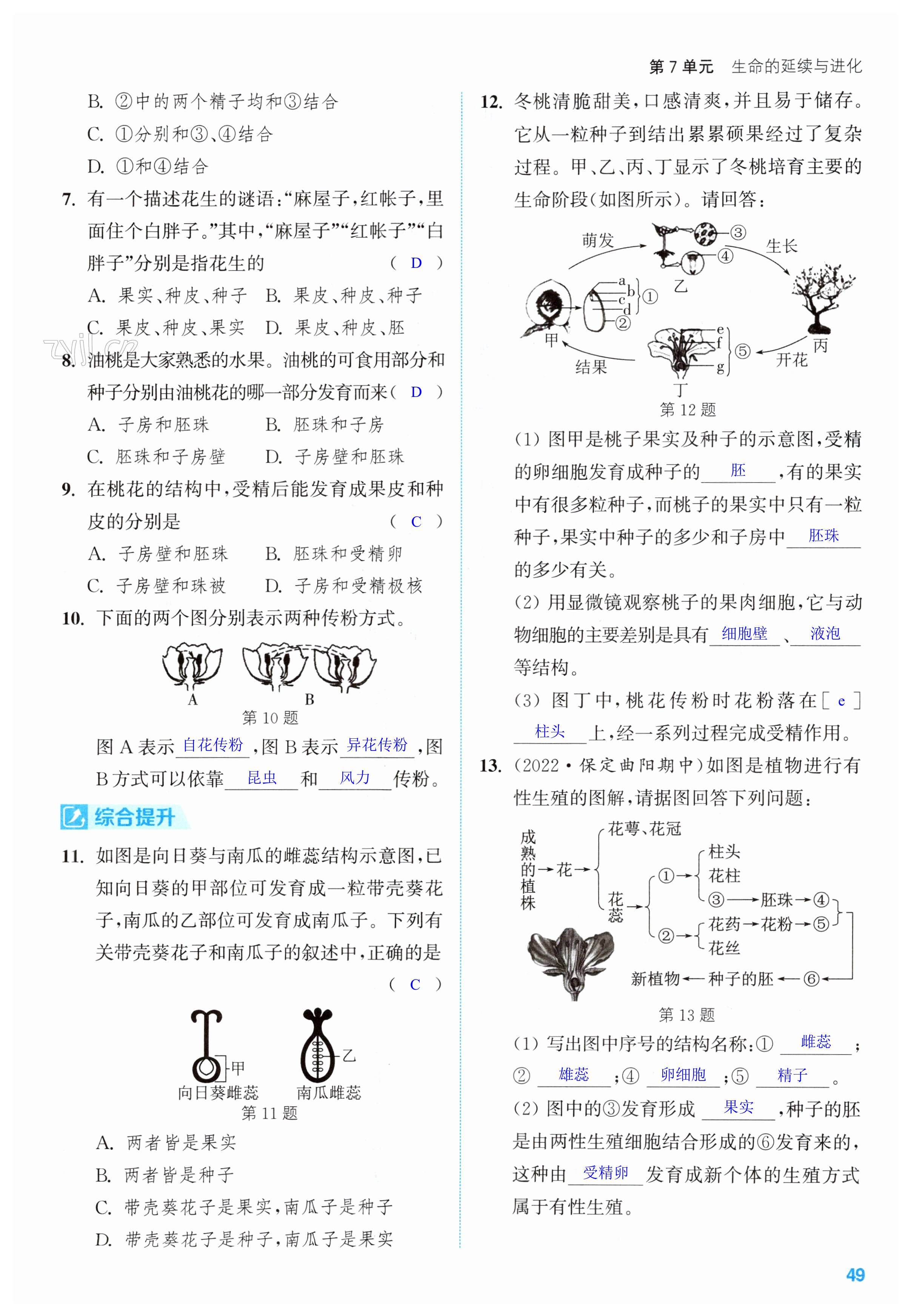 第49頁(yè)