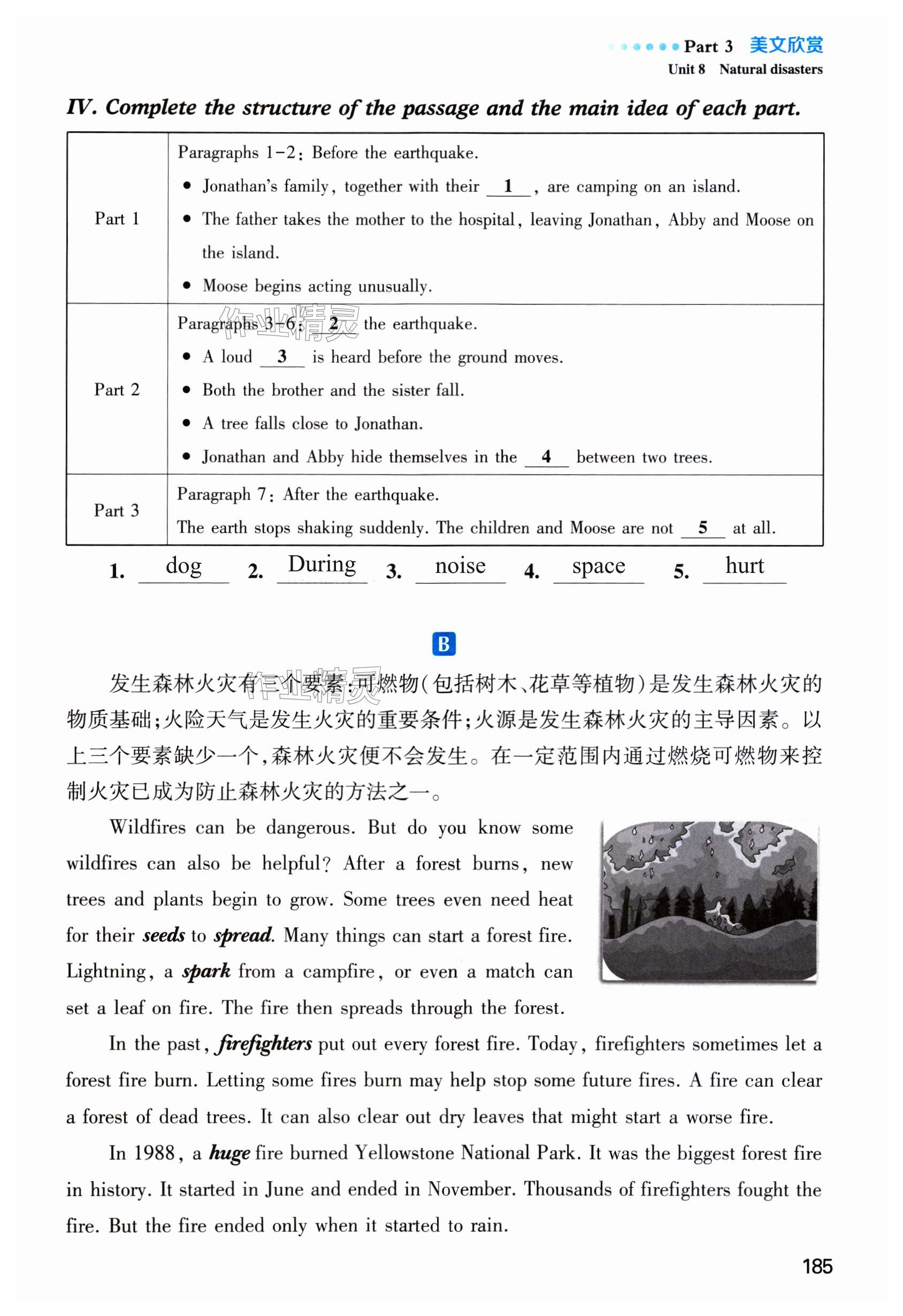 第185页