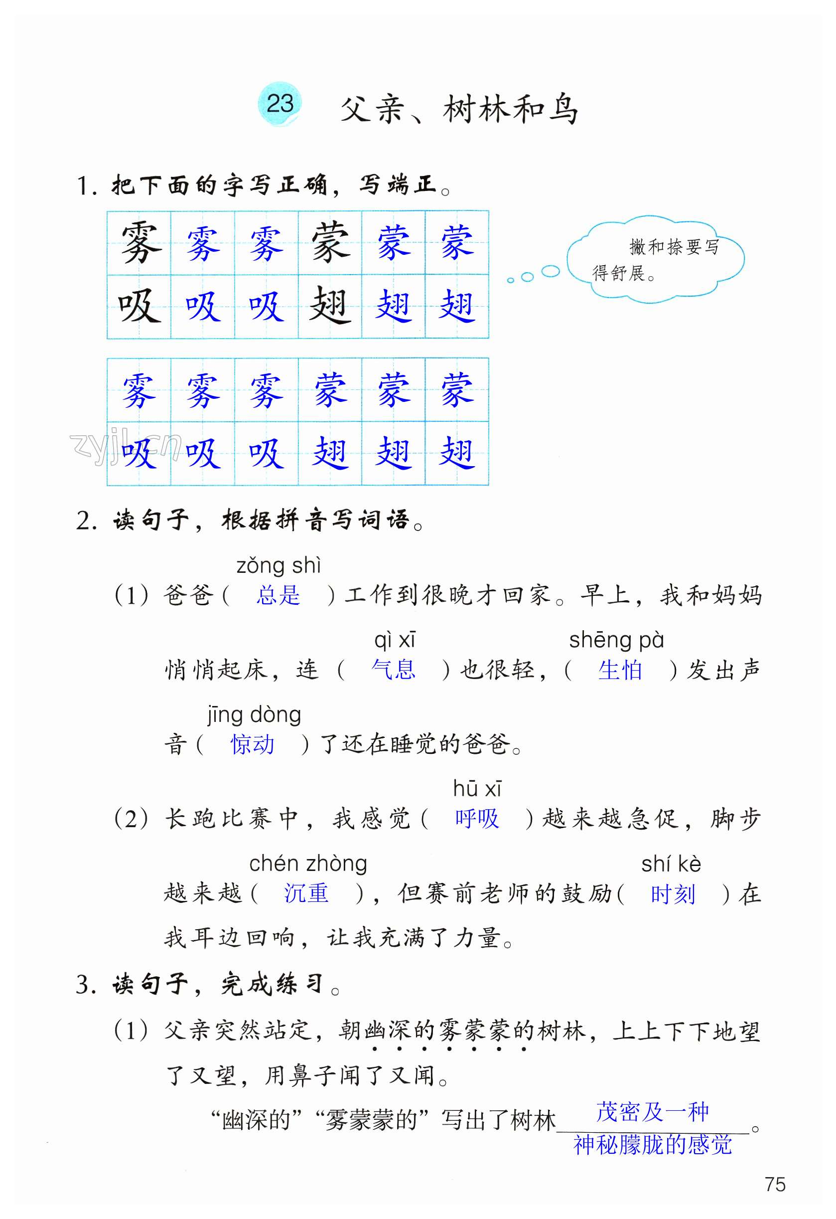 第75頁(yè)