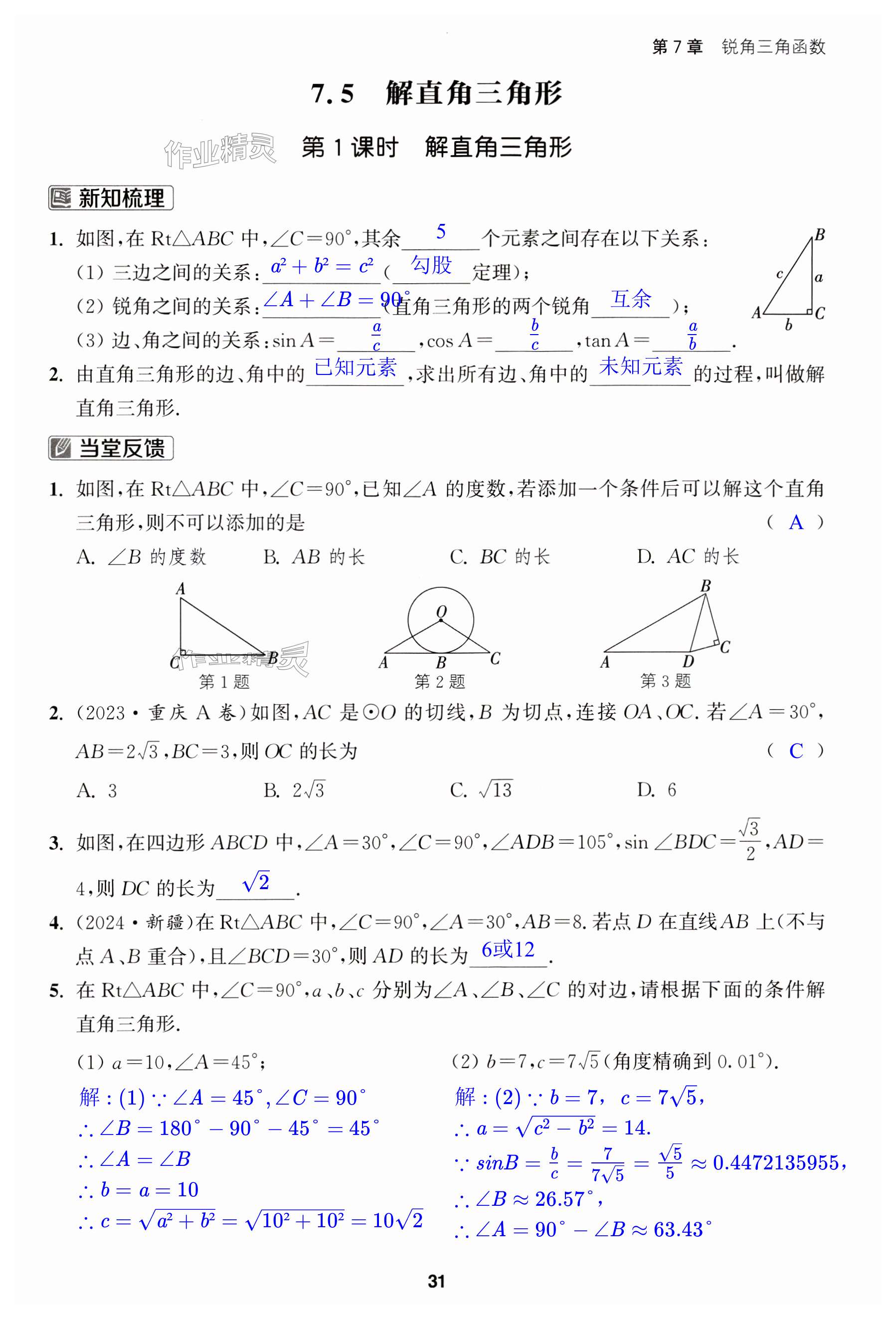 第31页