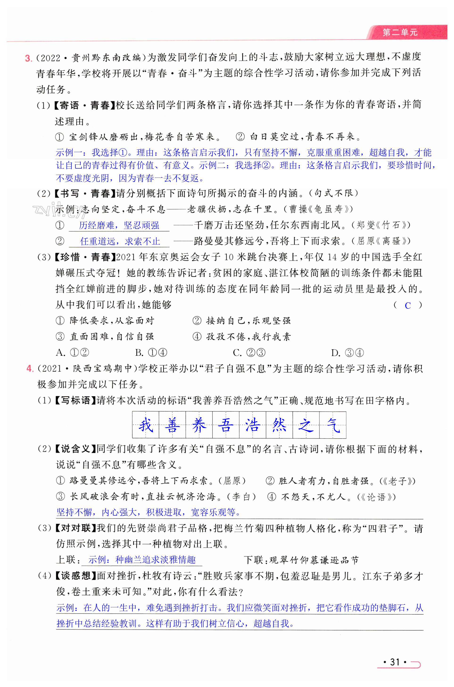 第31页