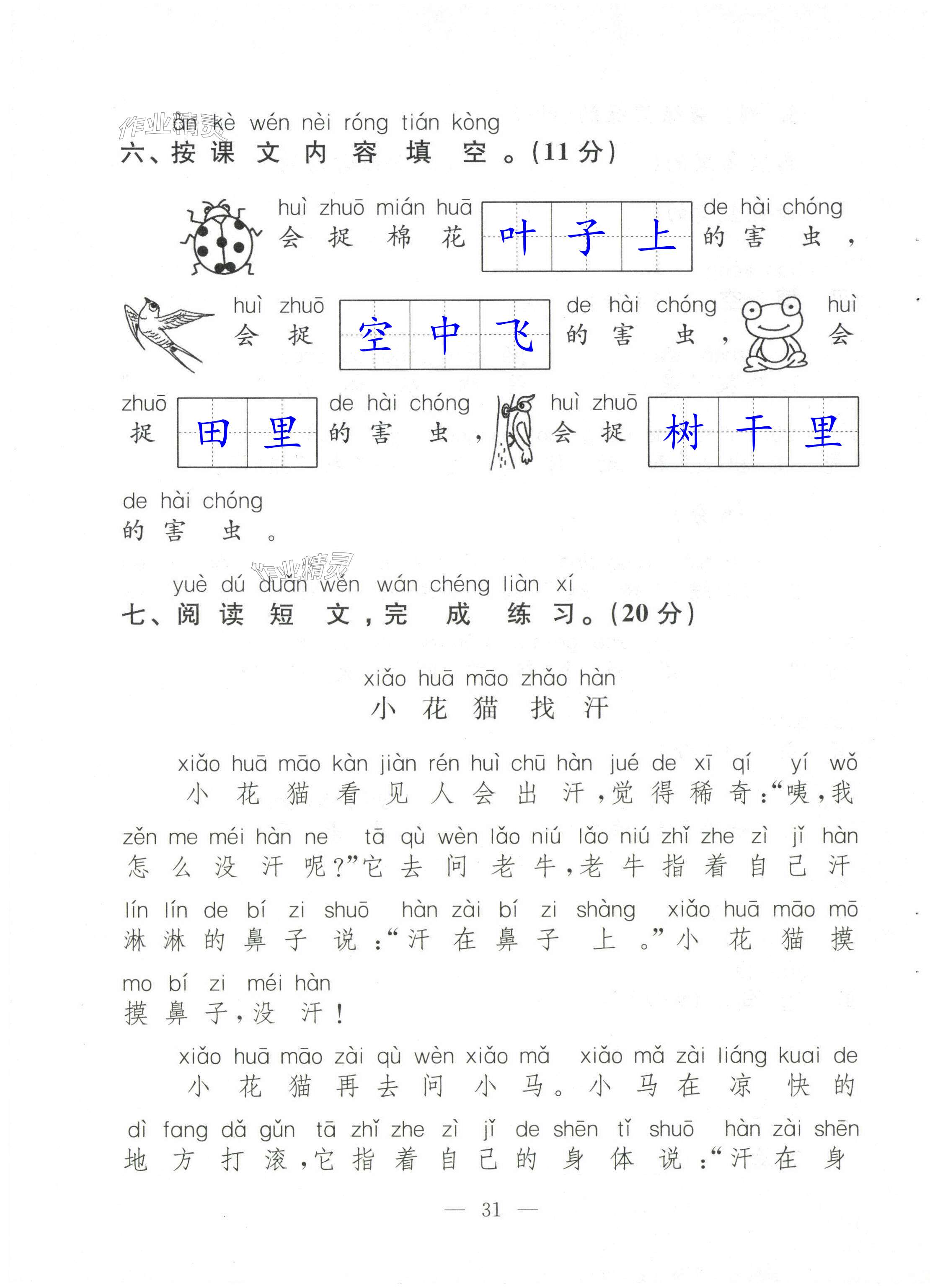 第31页