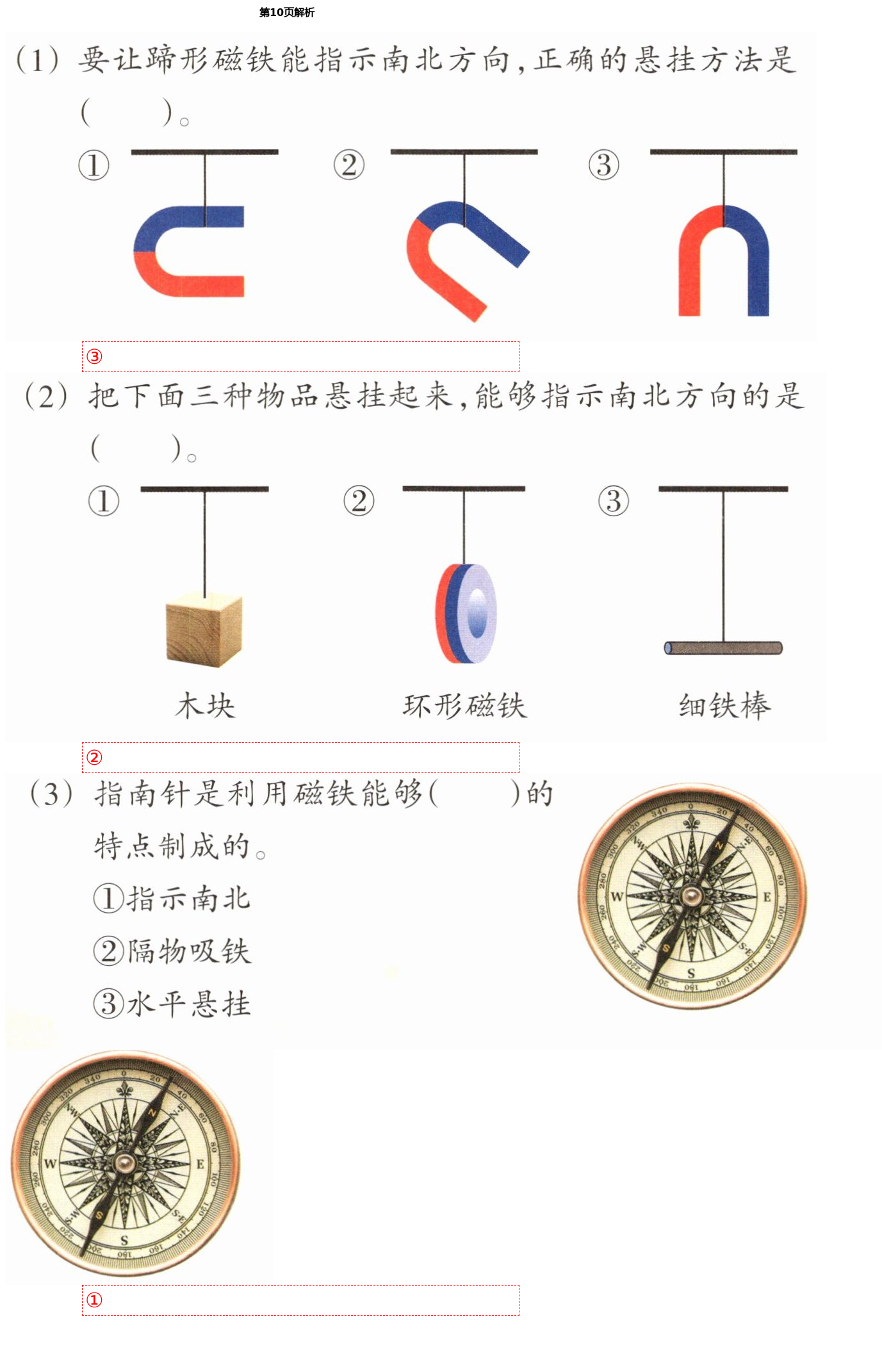 2021年科學(xué)作業(yè)本二年級下冊教科版浙江教育出版社 第10頁