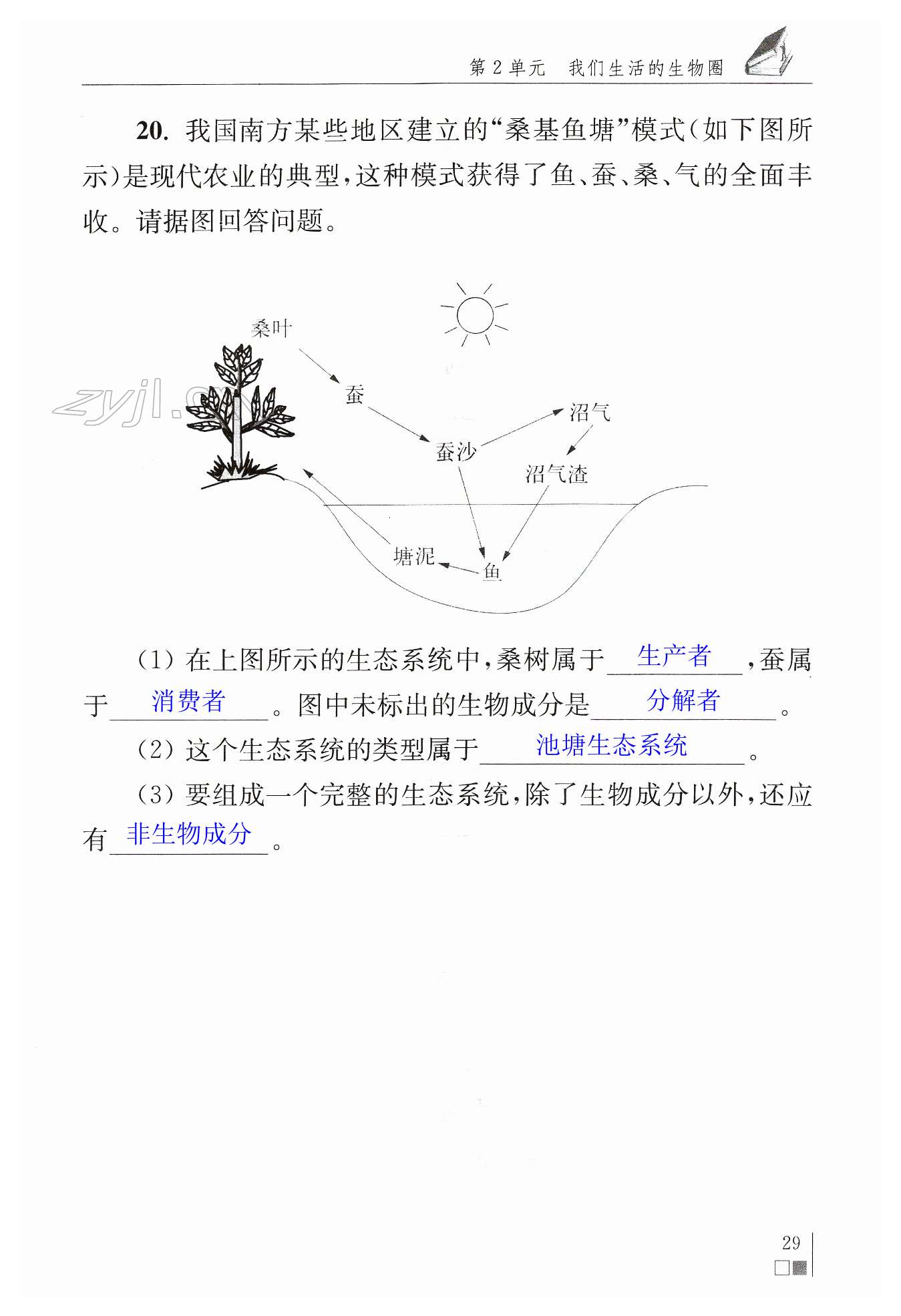 第29页