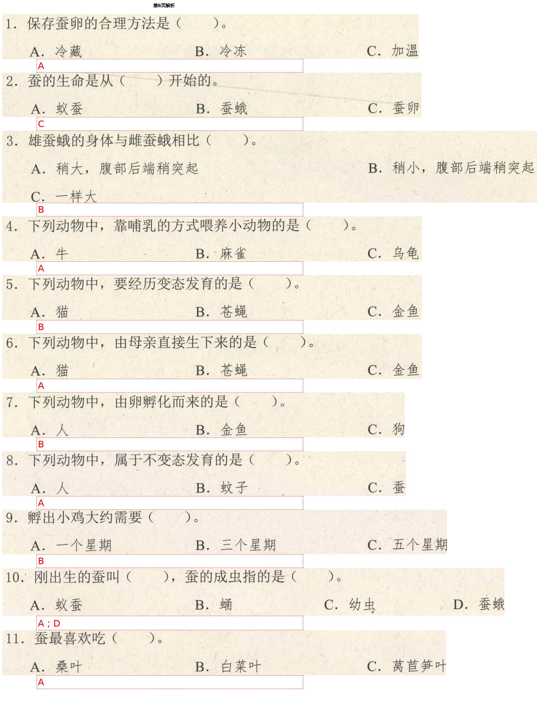2021年学而晋三年级科学下册教科版&nbsp;第6页