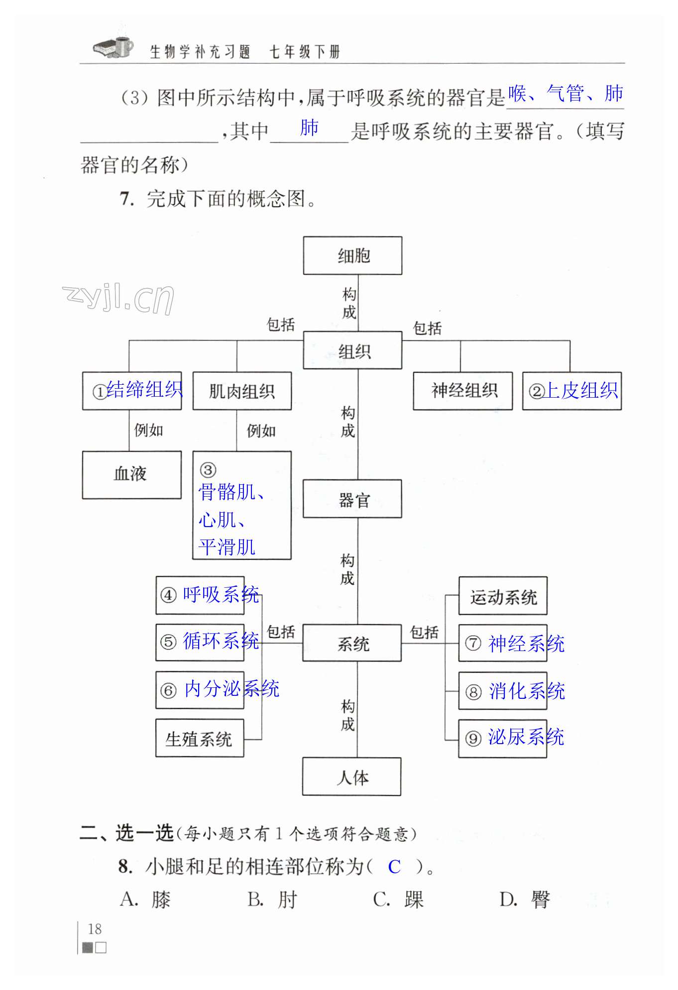 第18页