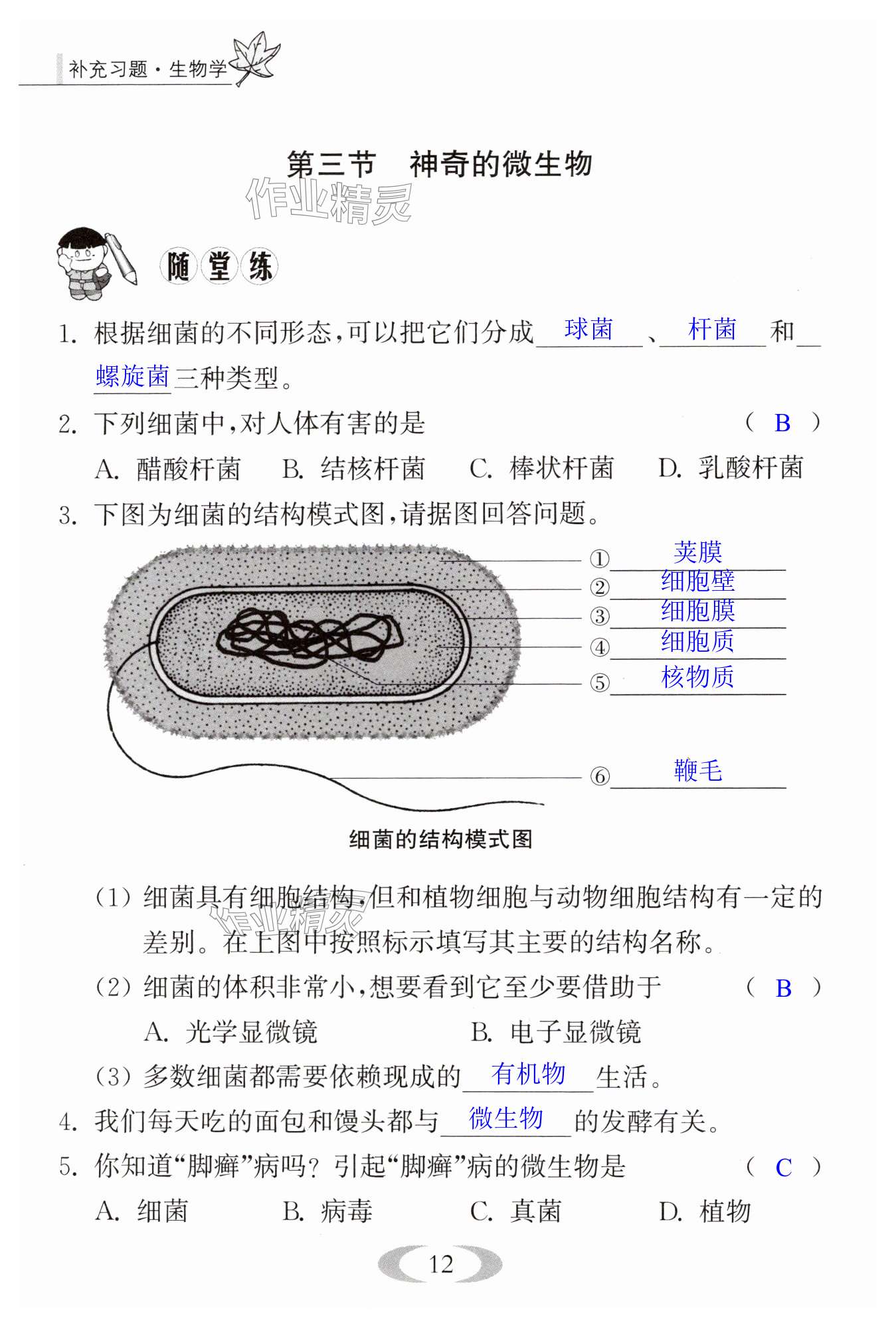 第12頁(yè)