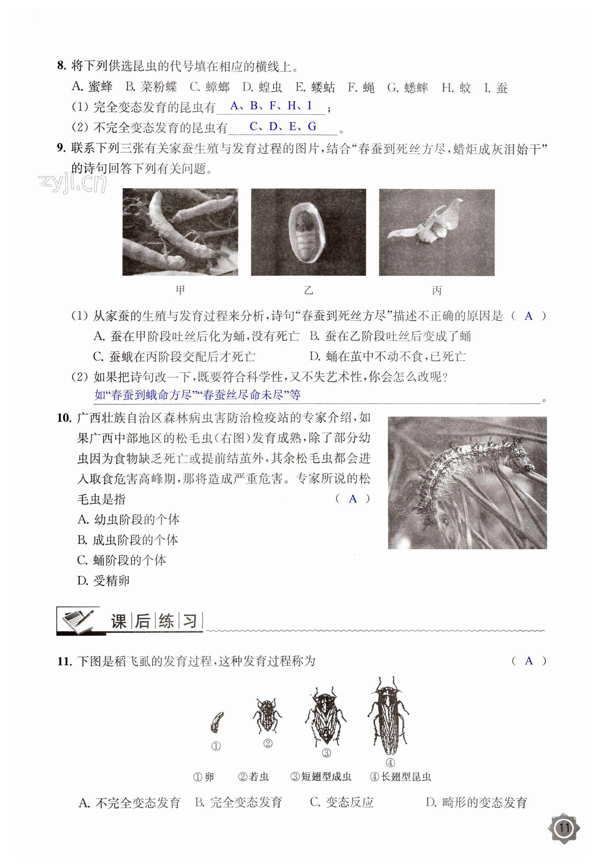 第11页
