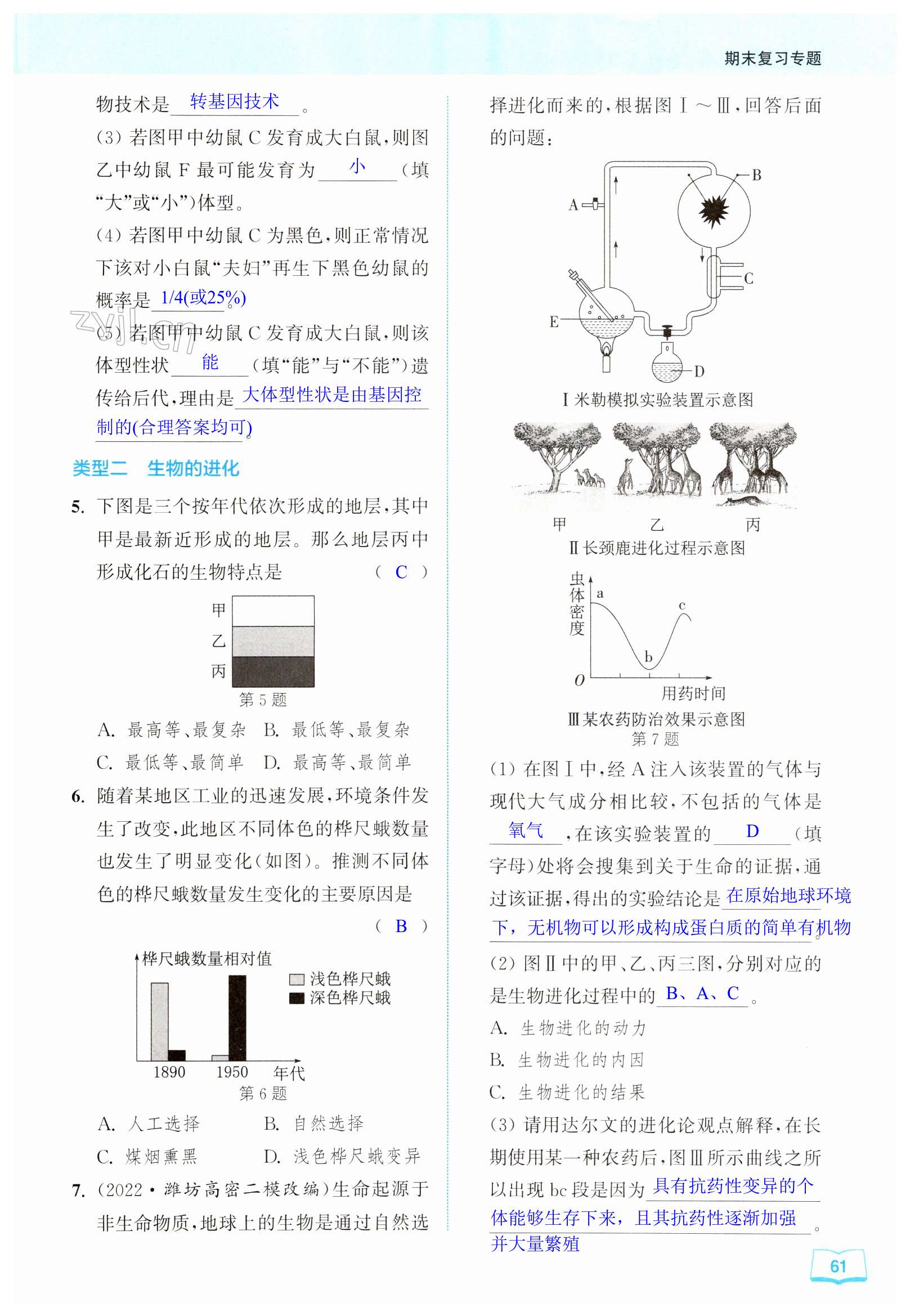 第61頁