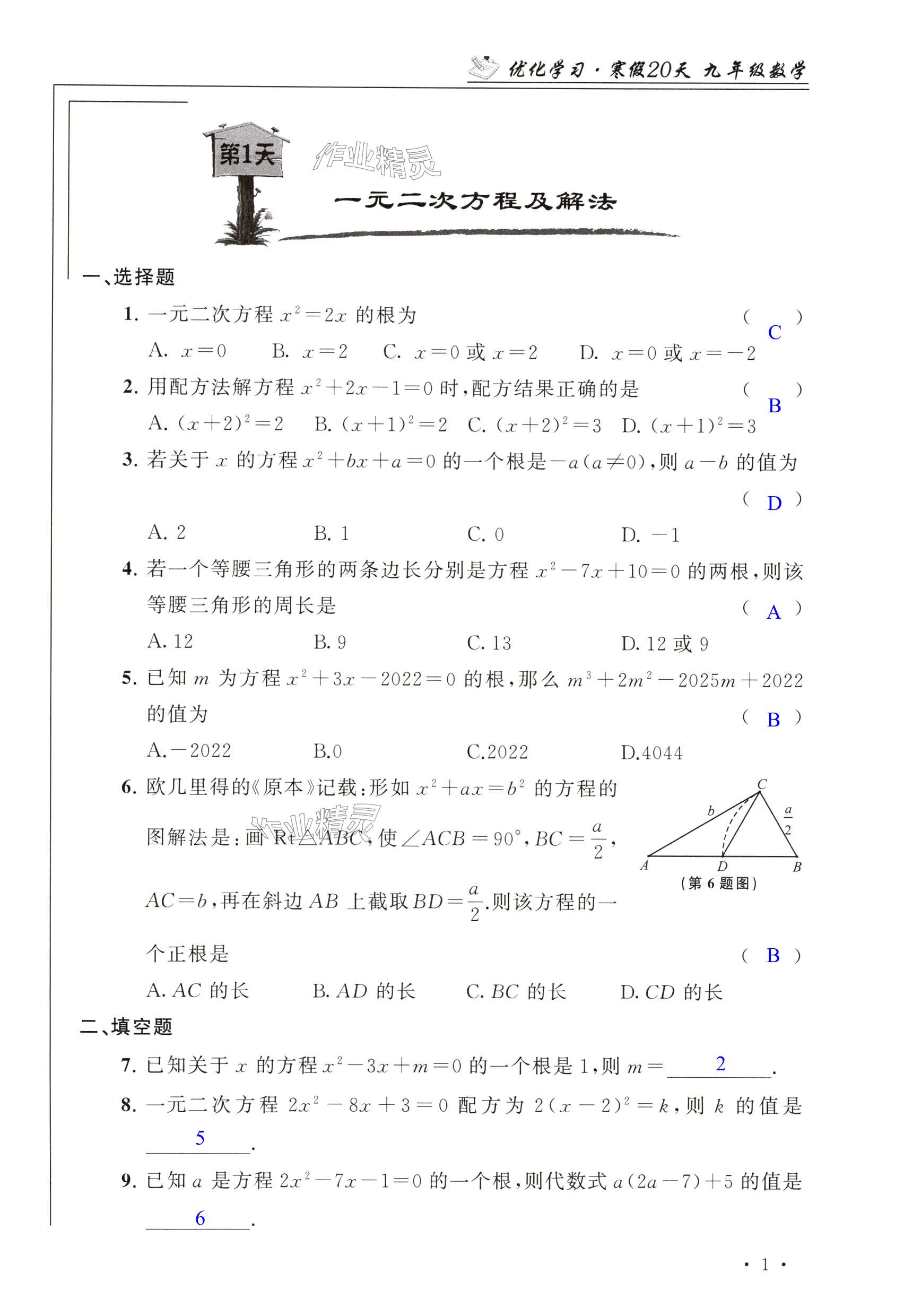 2025年優(yōu)化學(xué)習(xí)寒假20天九年級數(shù)學(xué)江蘇專版 第1頁